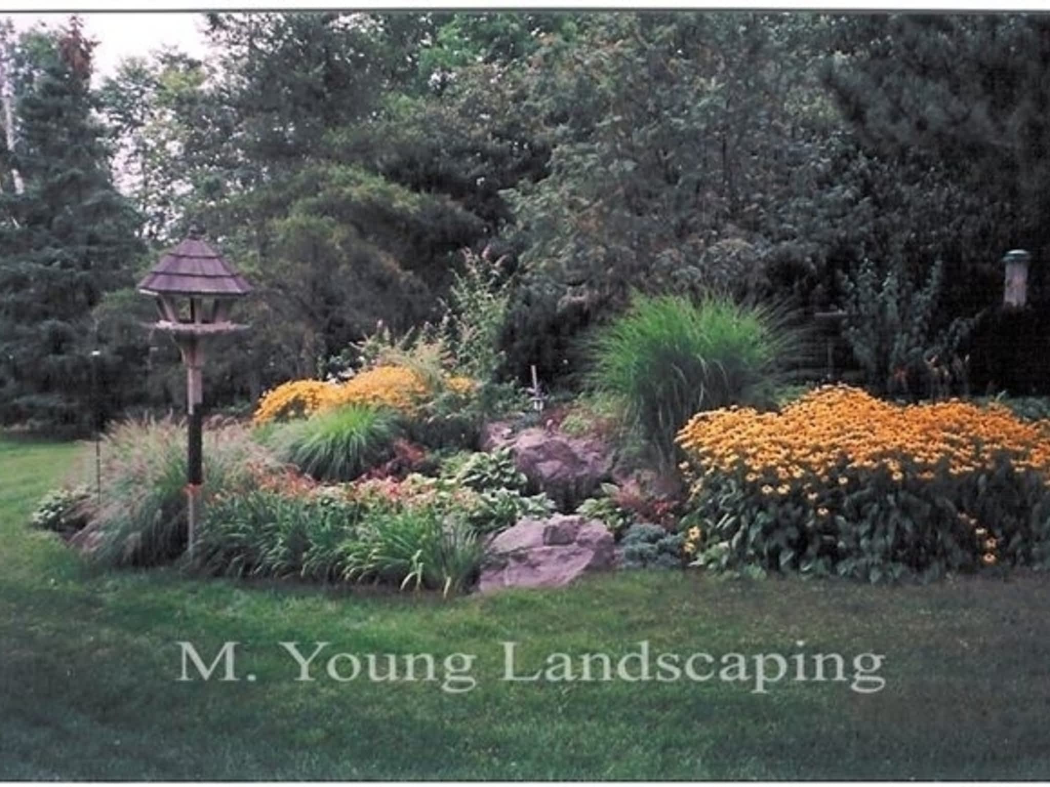 photo Young M Landscaping & Nurseries
