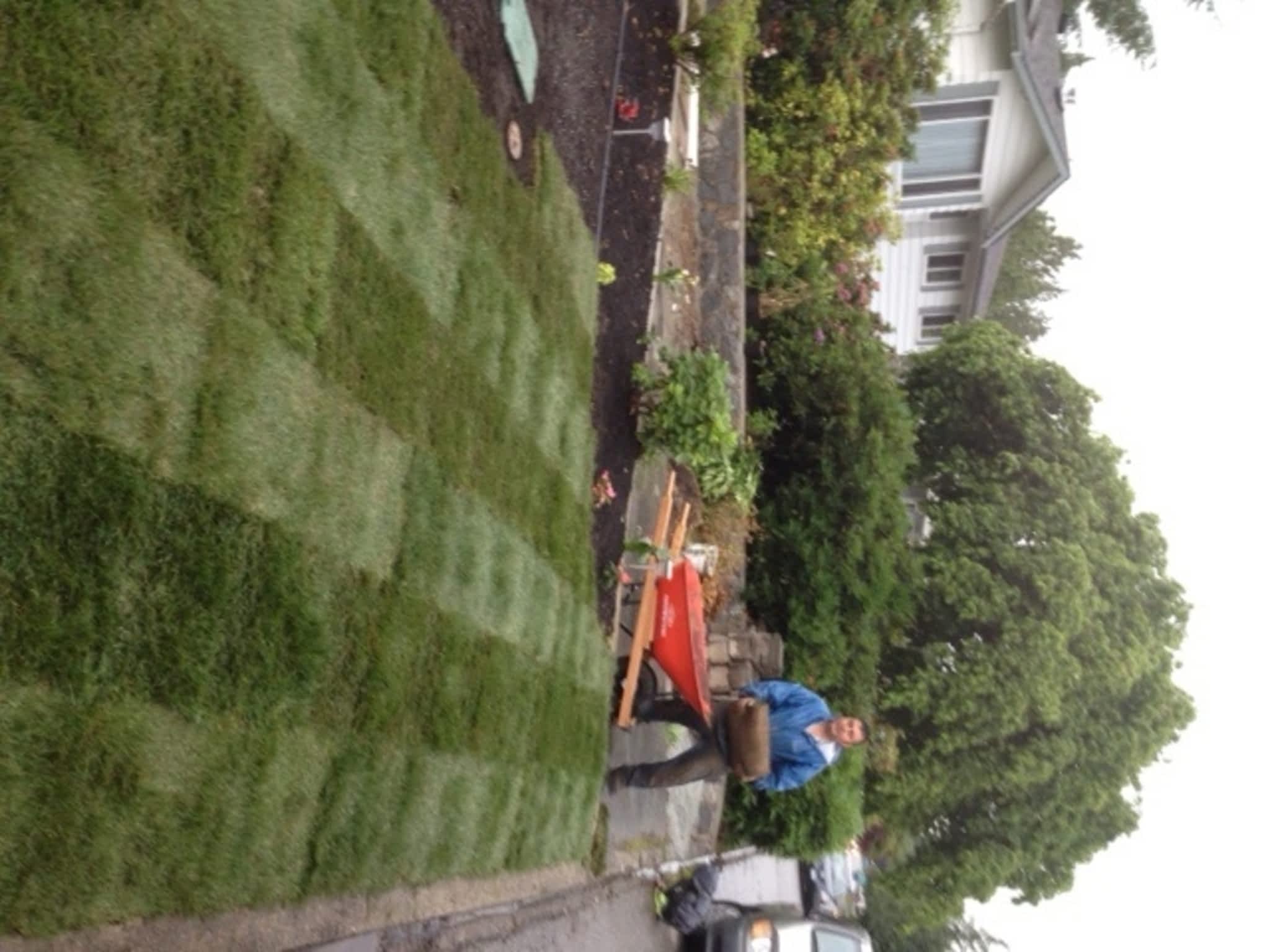 photo Lava Landscaping