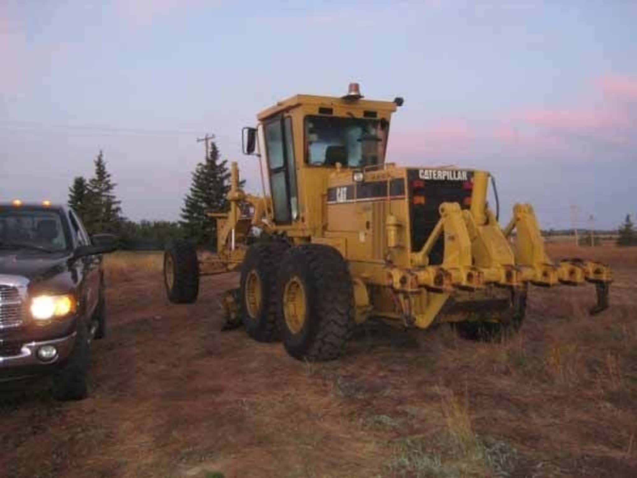 photo Elliott Cats Ltd