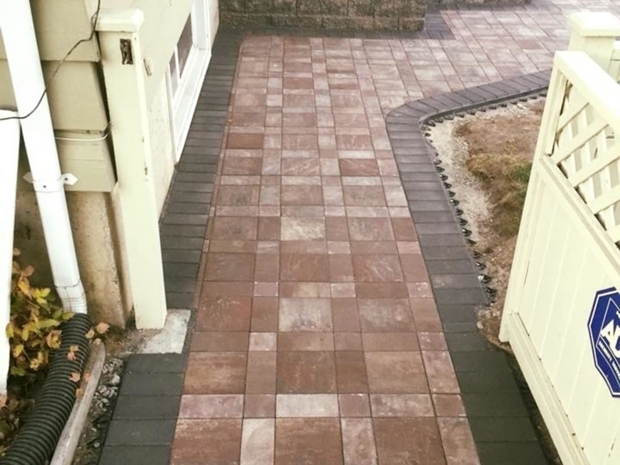 photo Evolutionary Wallscape