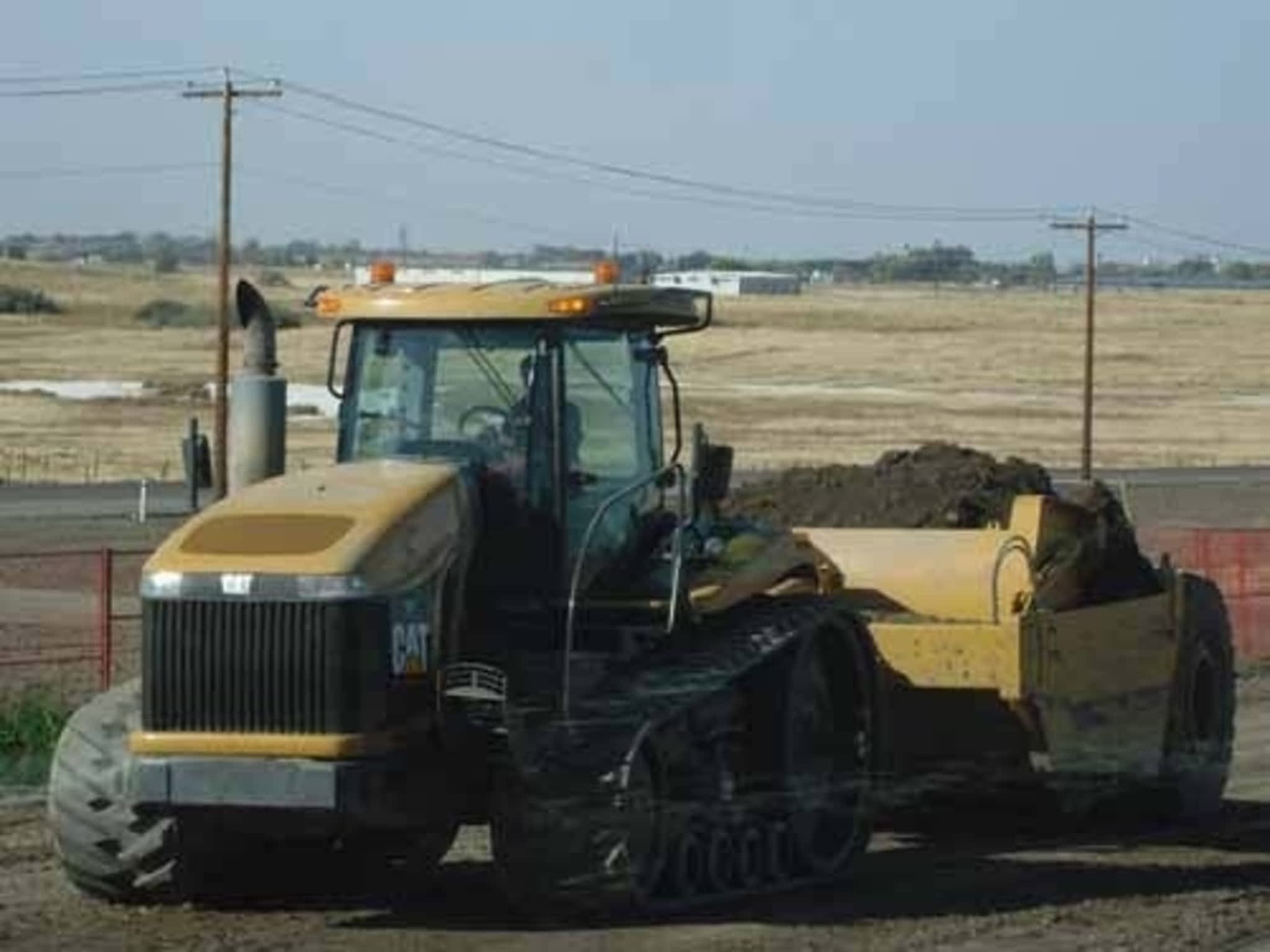 photo Elliott Cats Ltd