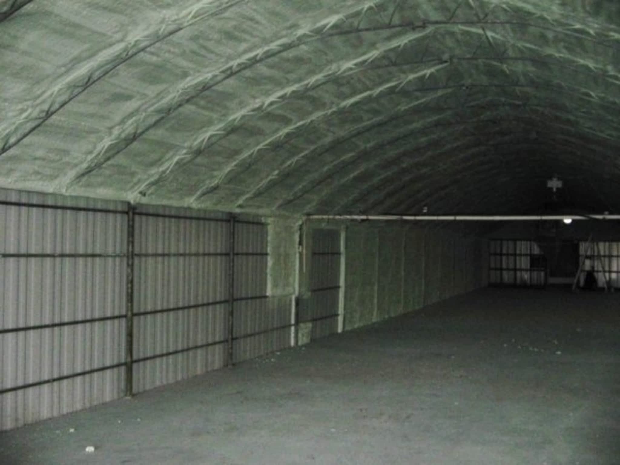 photo Vert Isolation