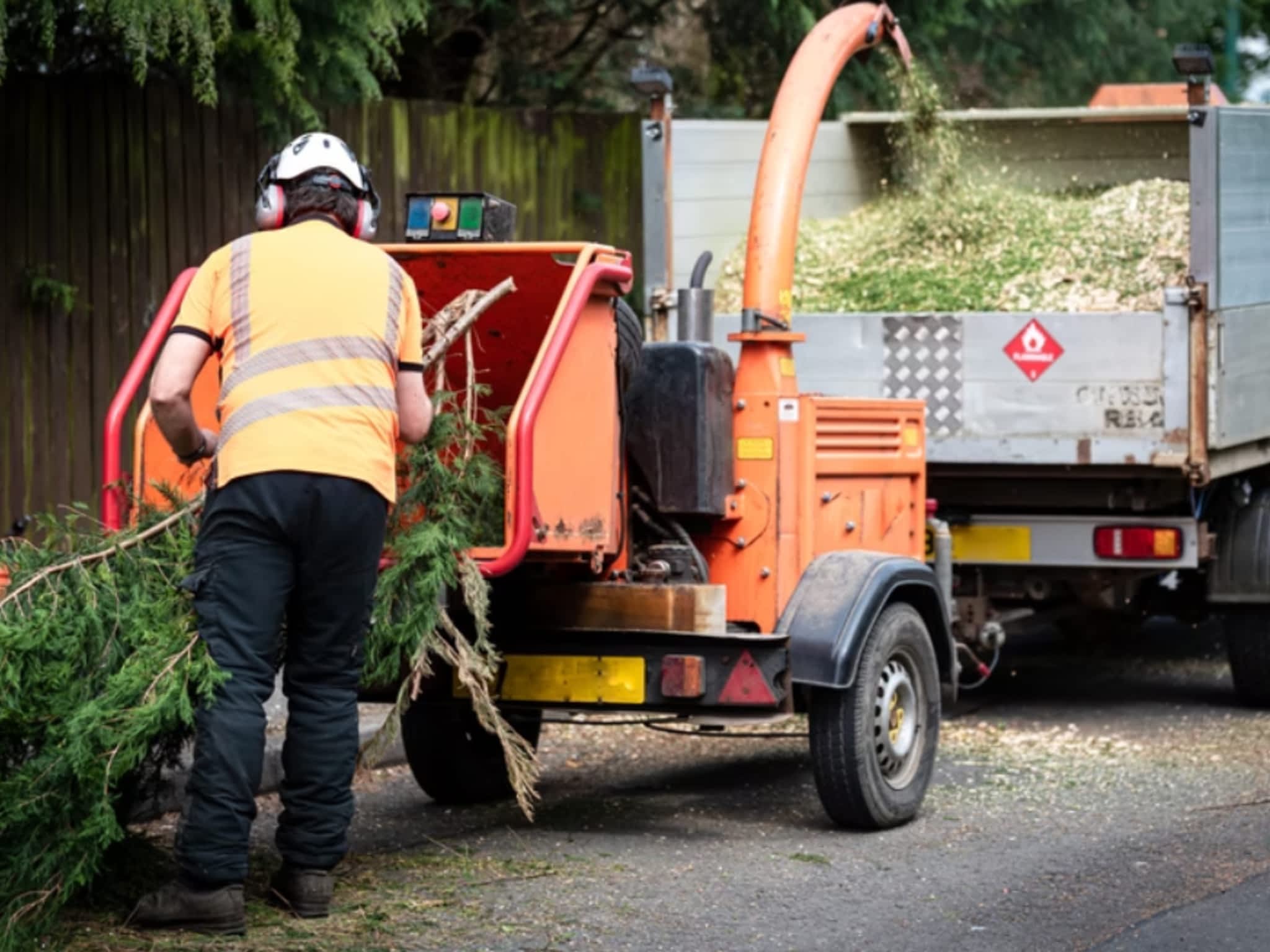 photo Edmonton Tree Care