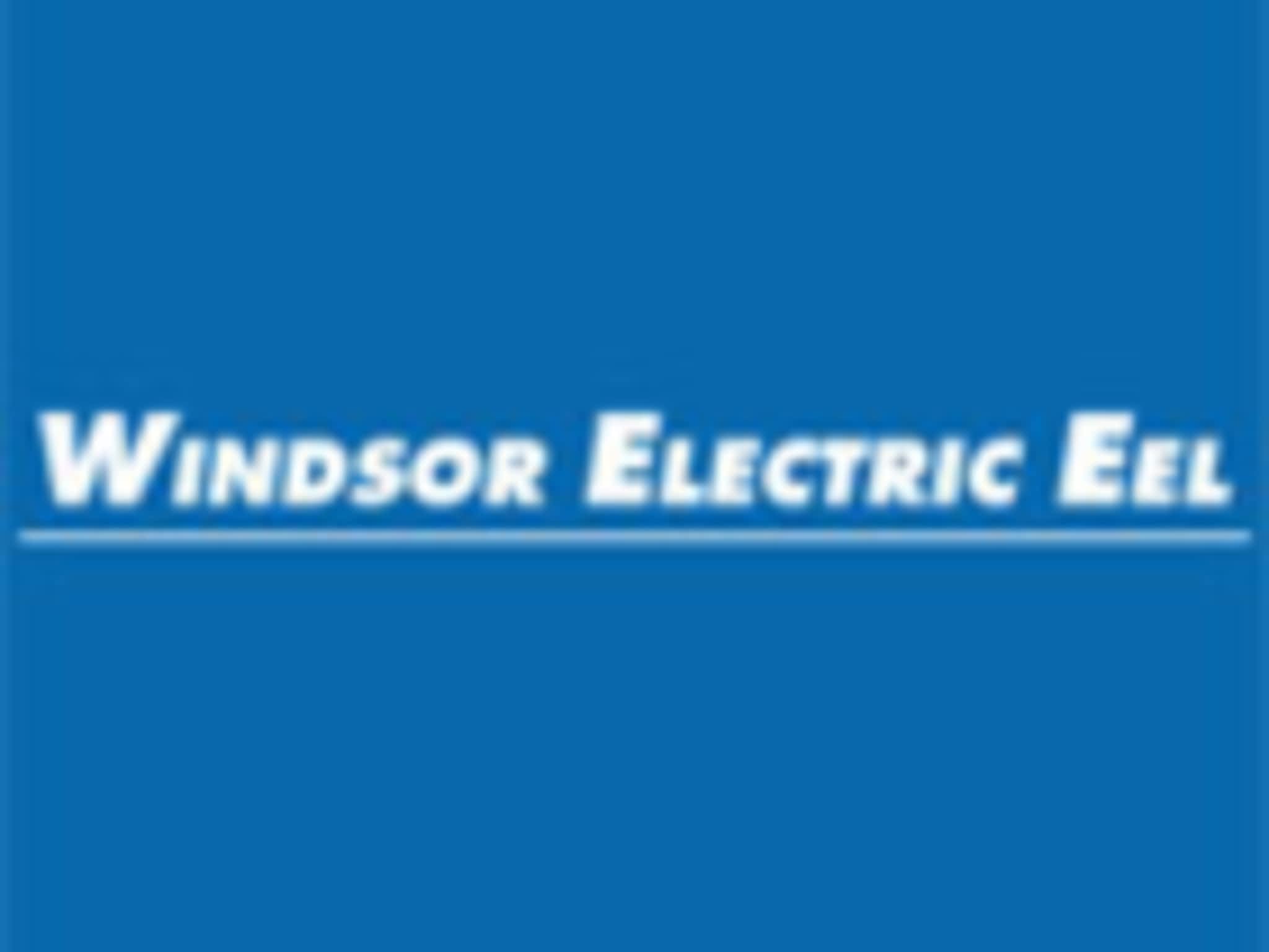 photo Windsor Electric Eel