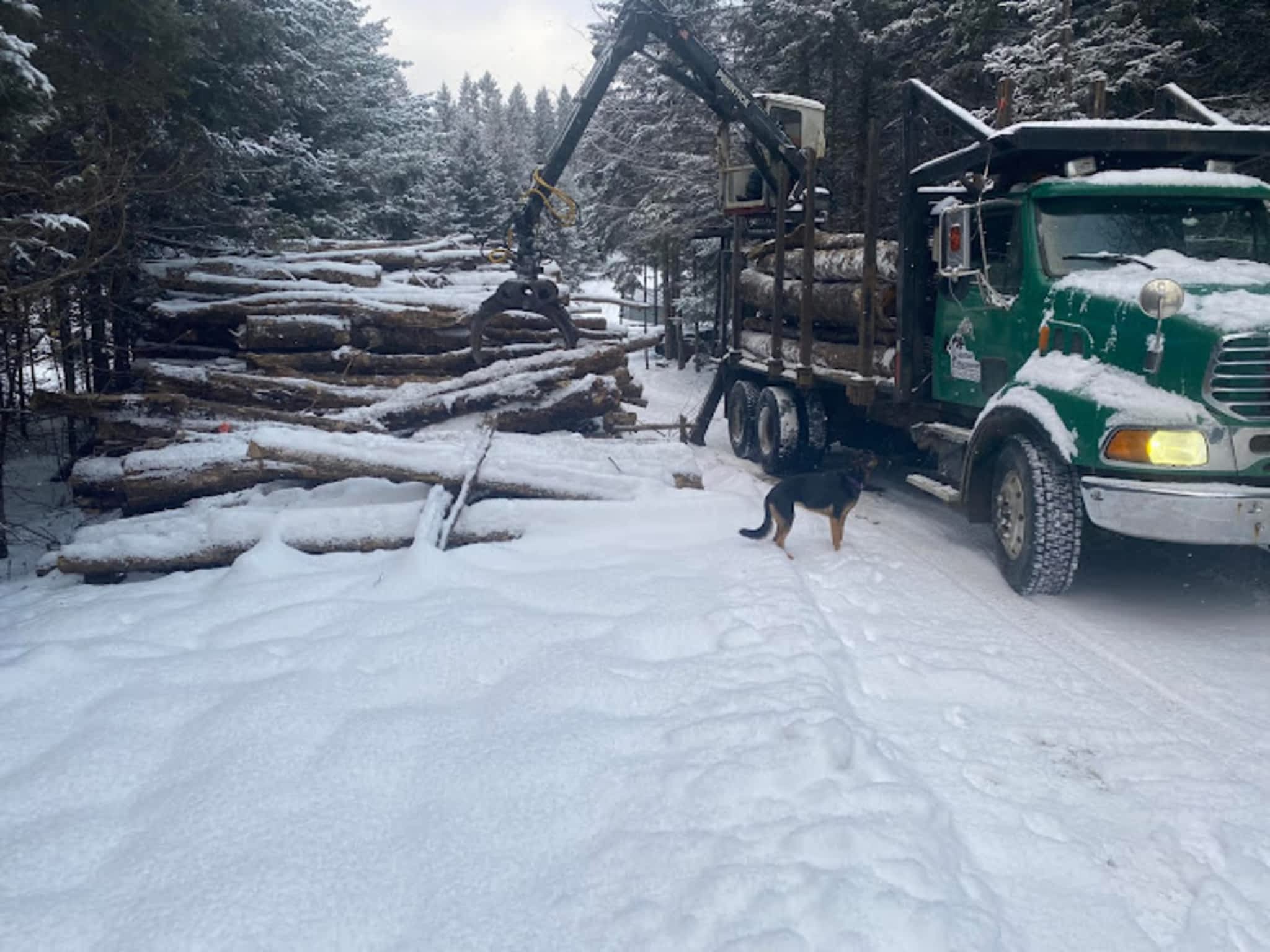 photo Abattage Maisonneuve