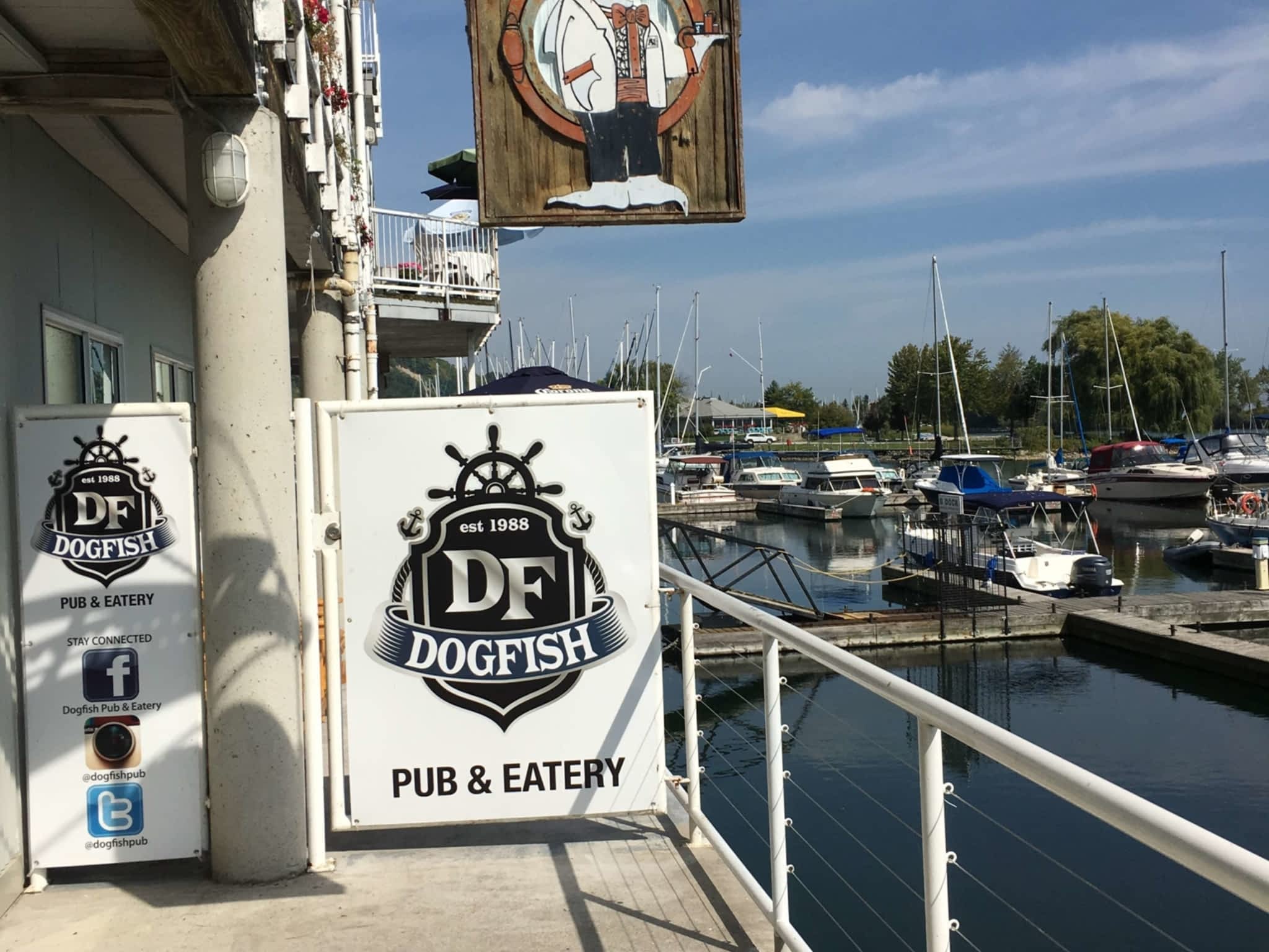 photo The Dogfish Pub & Eatery