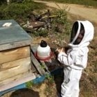 Miel Boréal - Beekeepers