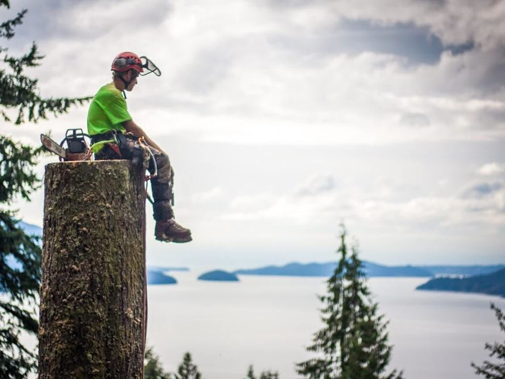 photo Windfirm Tree Services