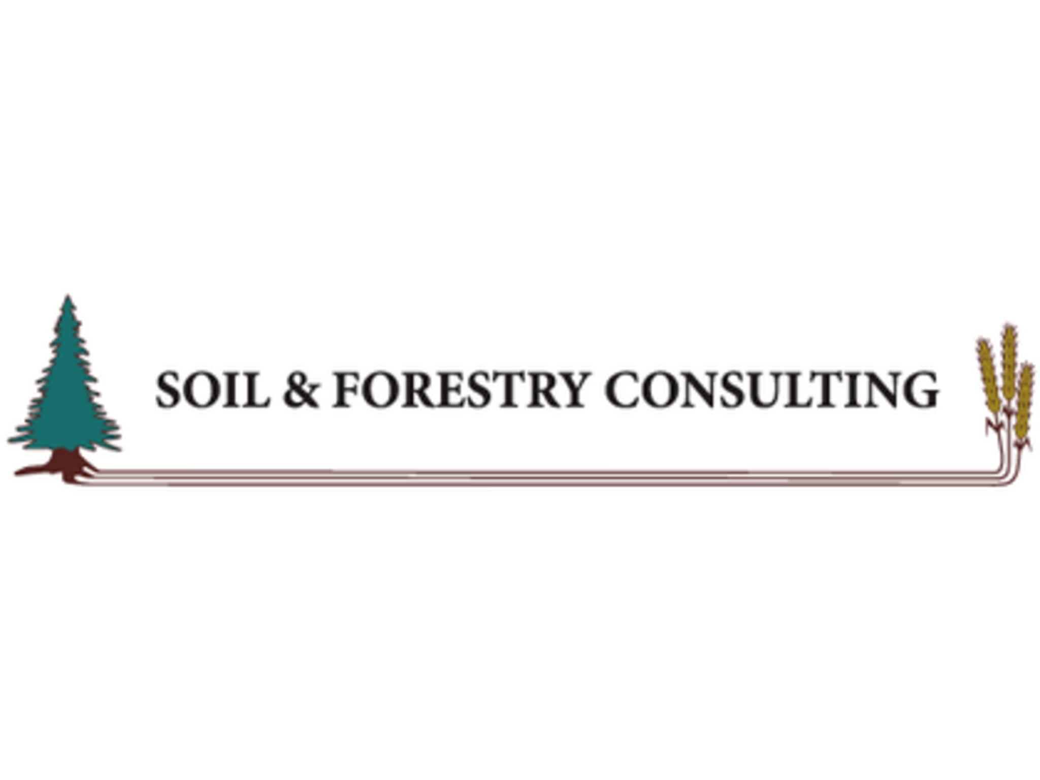 photo Soil & Forestry Consulting