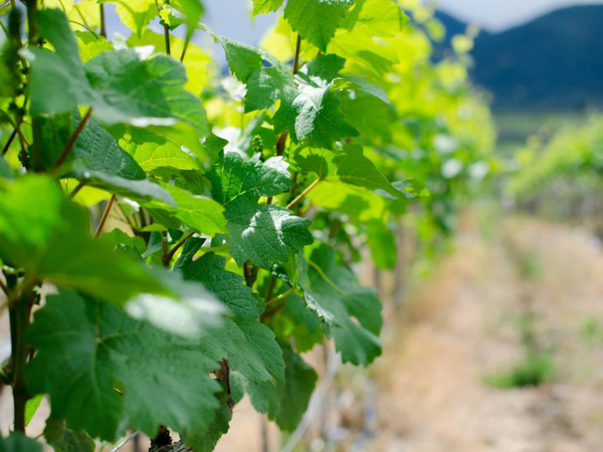 photo Keystone Creative Studios