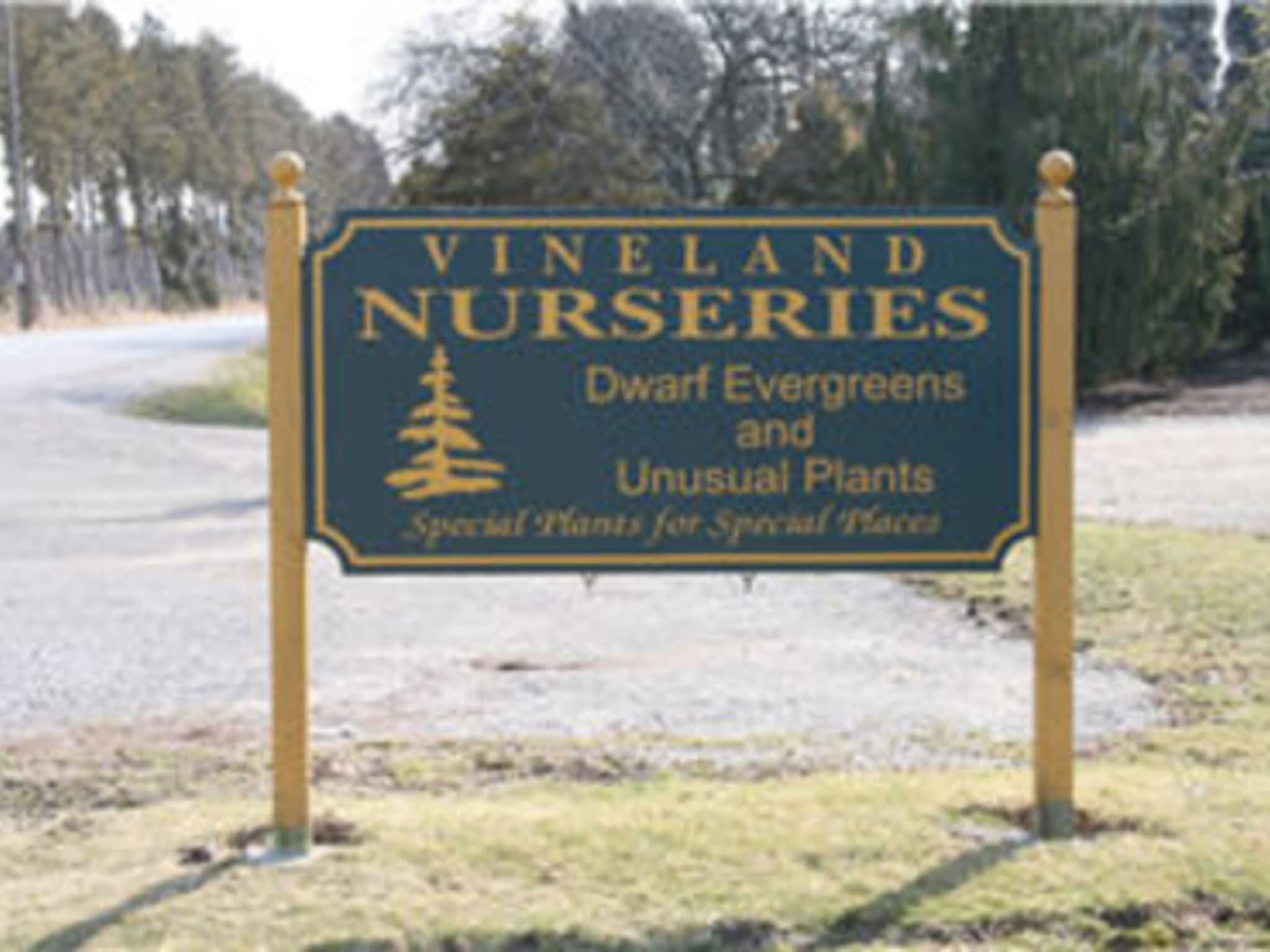 photo Vineland Nurseries