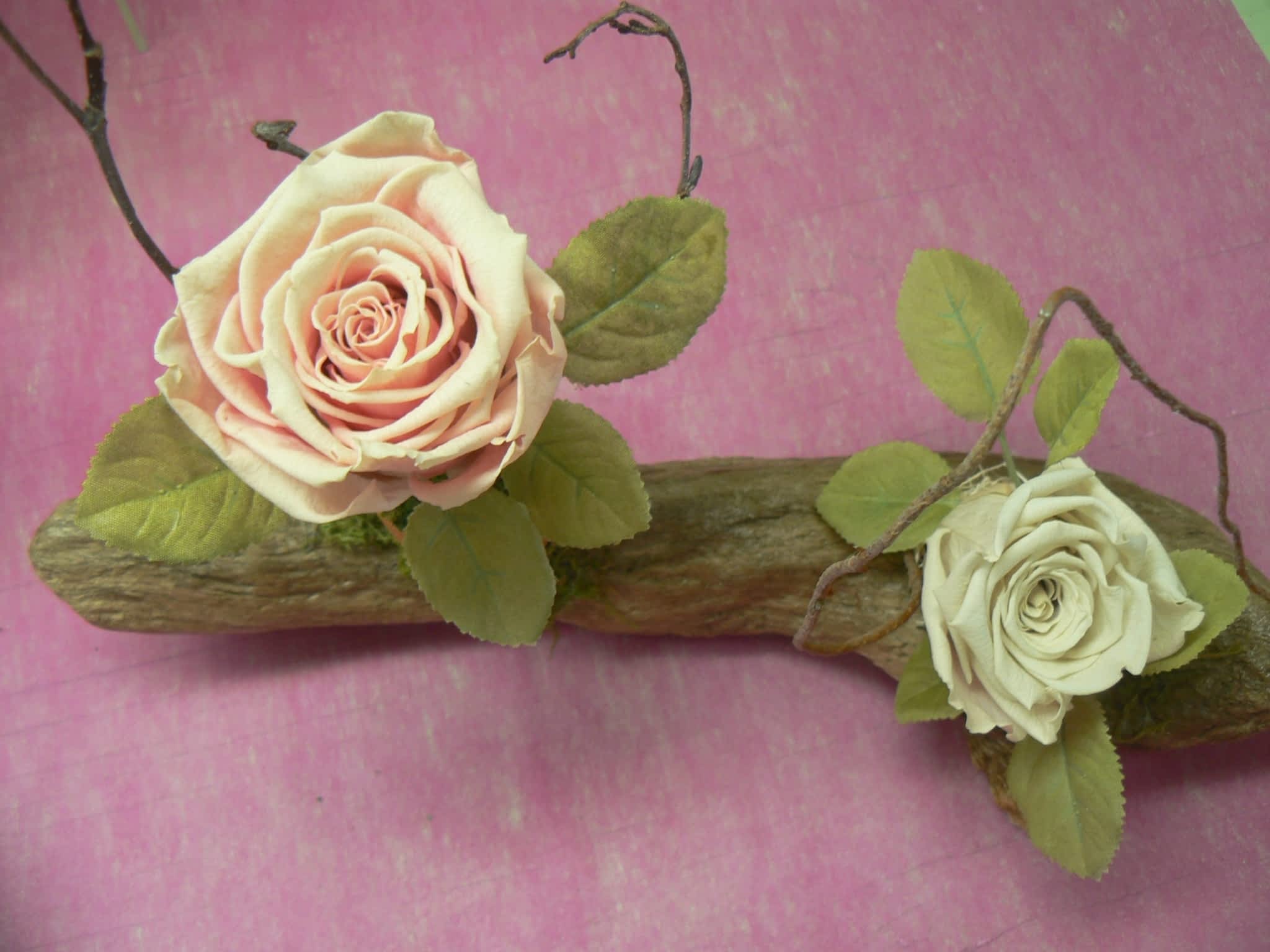 photo Fleurs En Folie