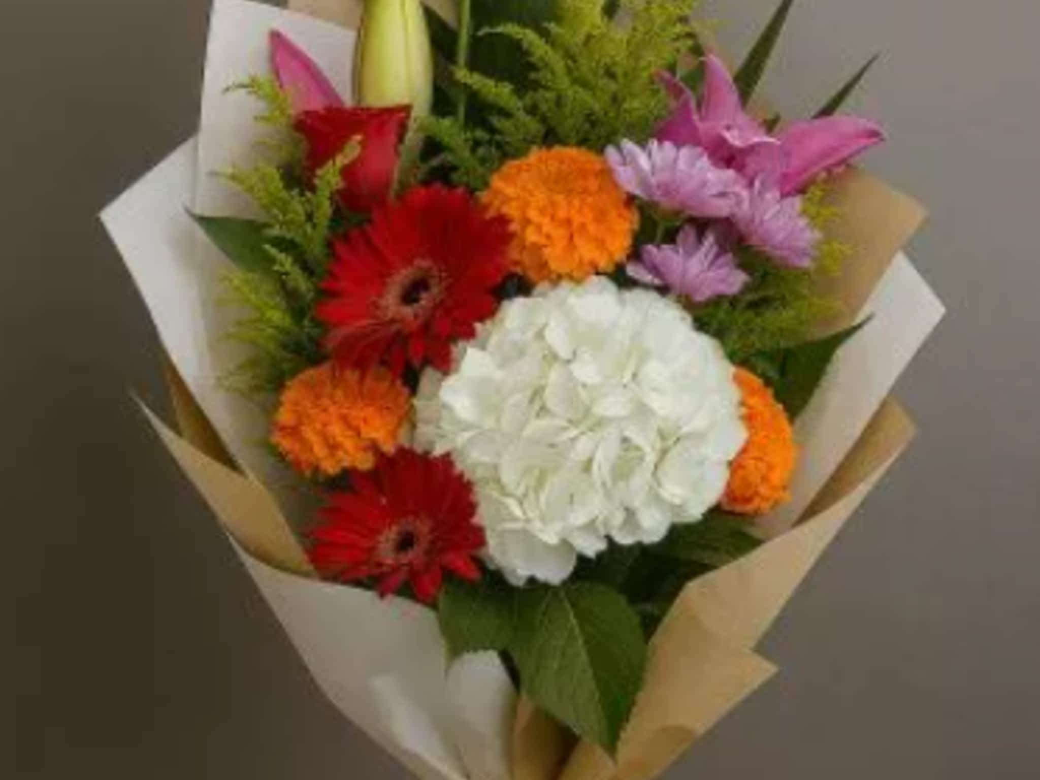 photo Snap And Stem Creative Studio