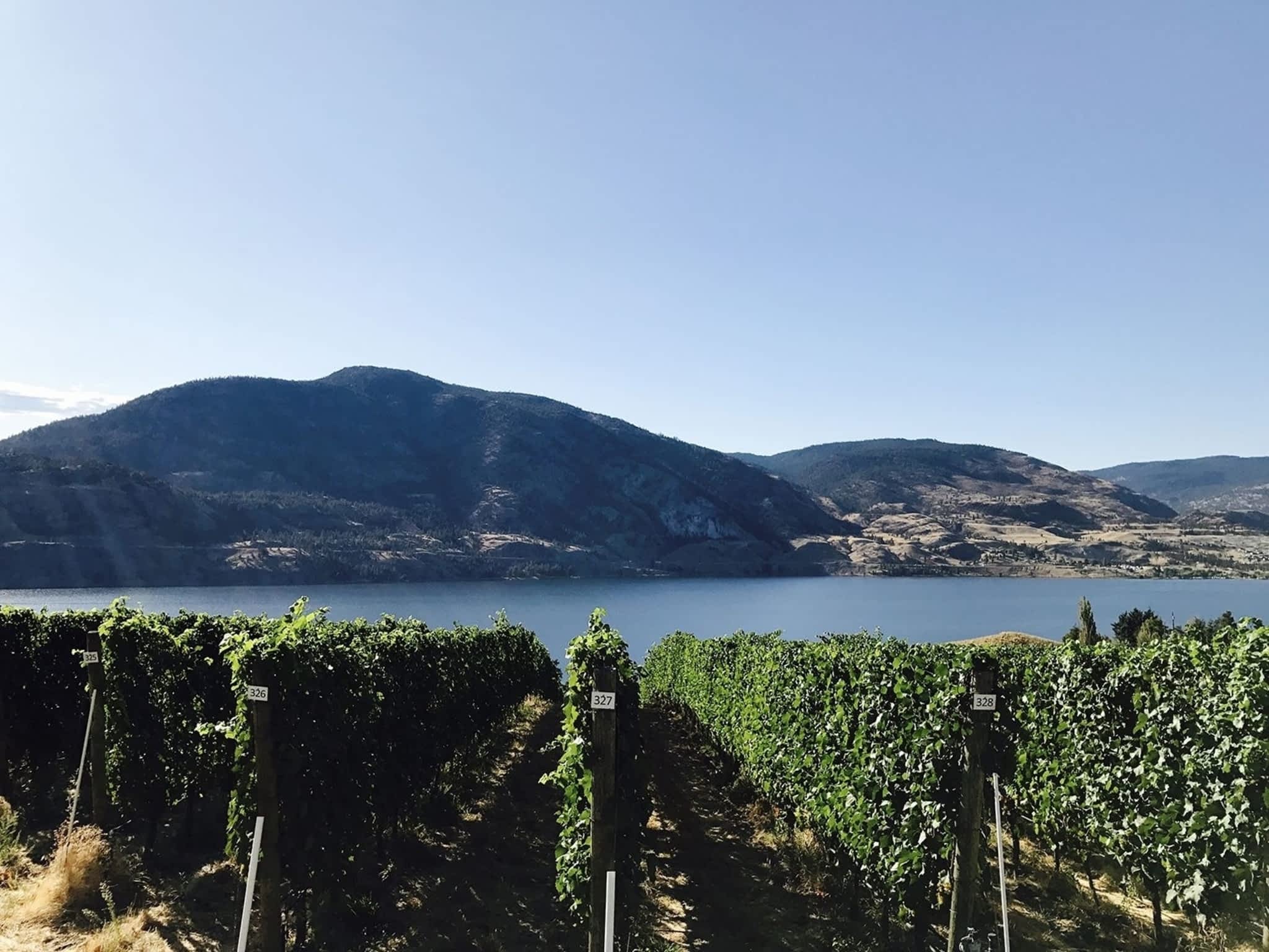 photo BARE Wine Tours