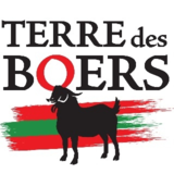 View Terre des Boers’s Montréal profile