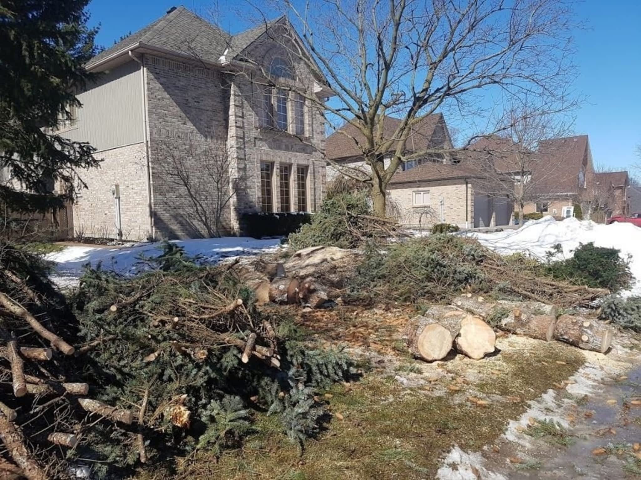 photo Wright's Tree Care