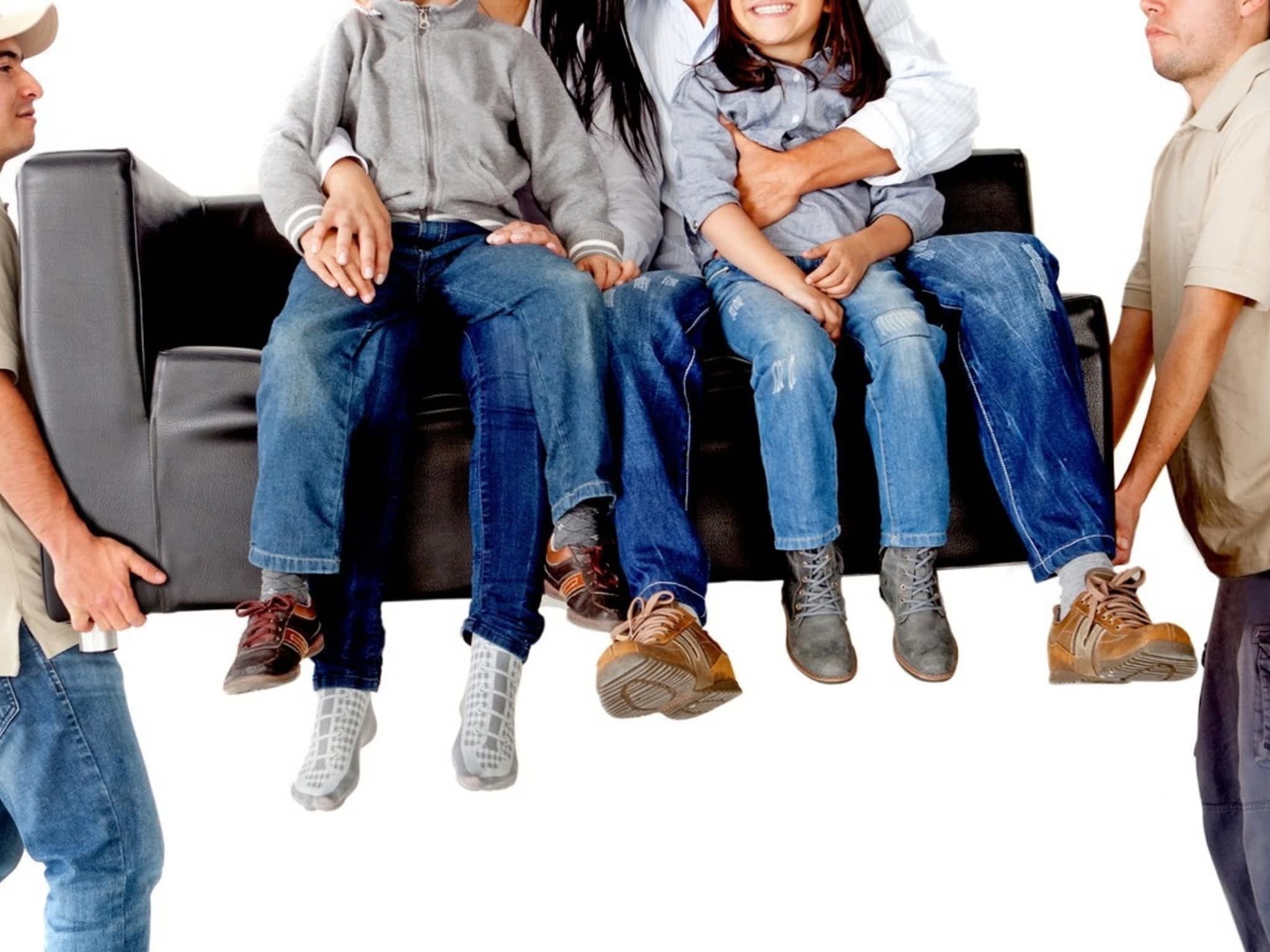 photo Strong Ant Moving