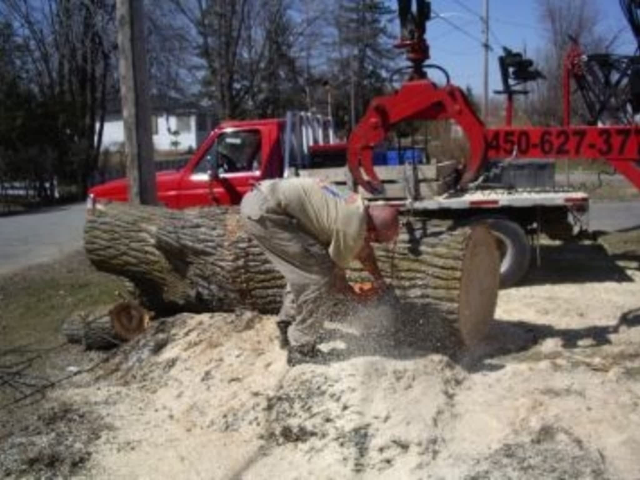 photo Service D'Arbres Marco