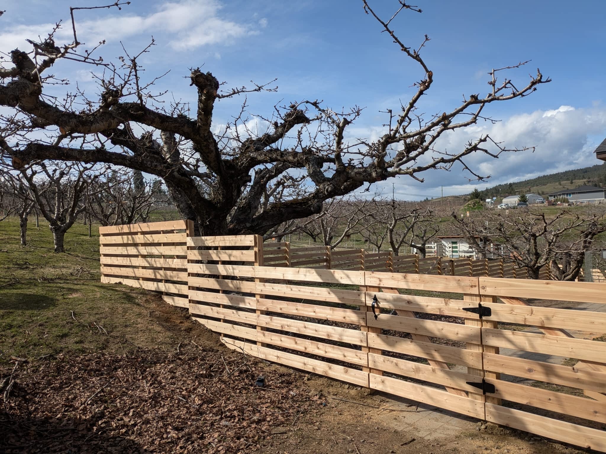 photo Altitude Carpentry