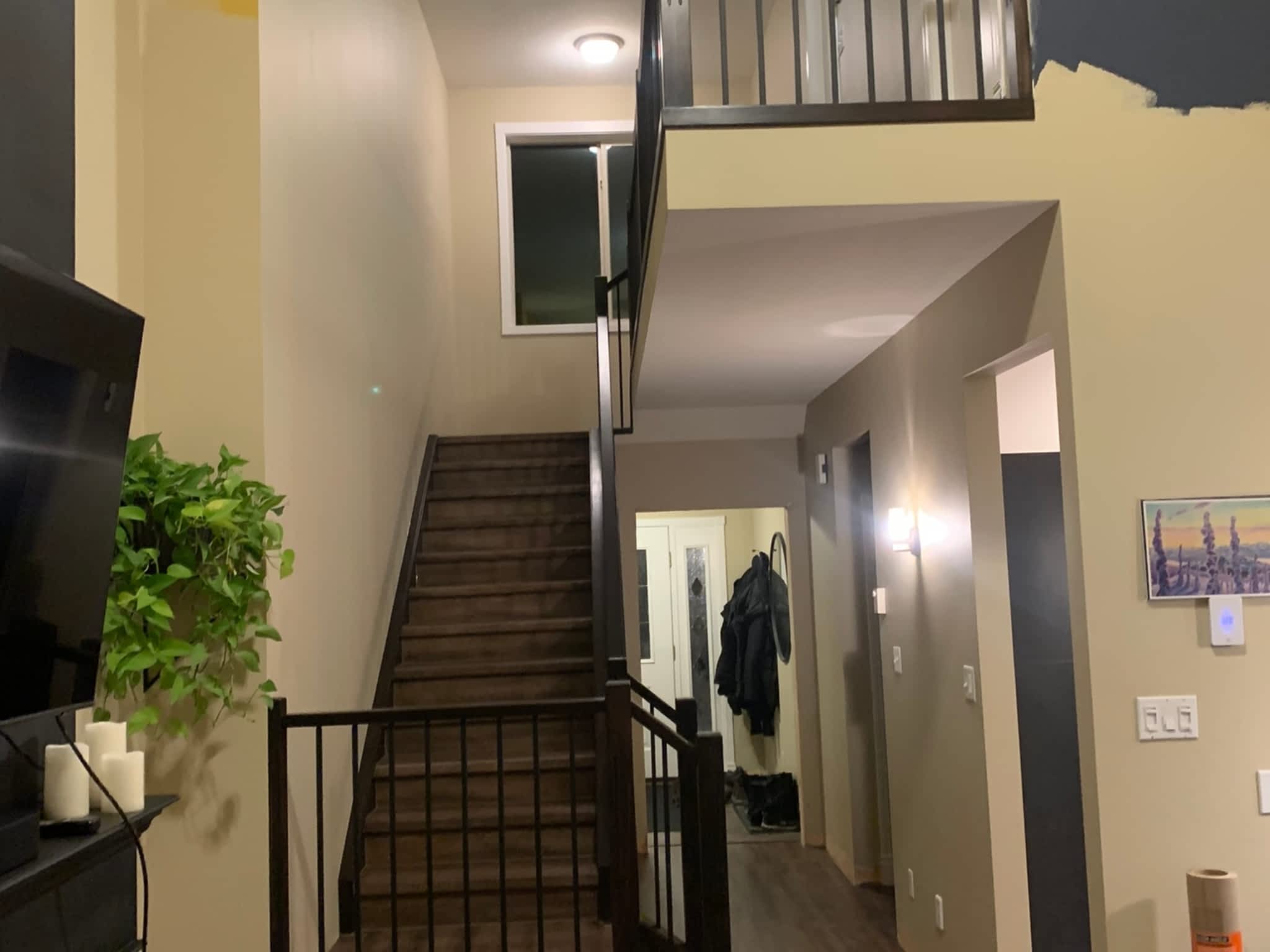 photo A N T Carpentry Ltd