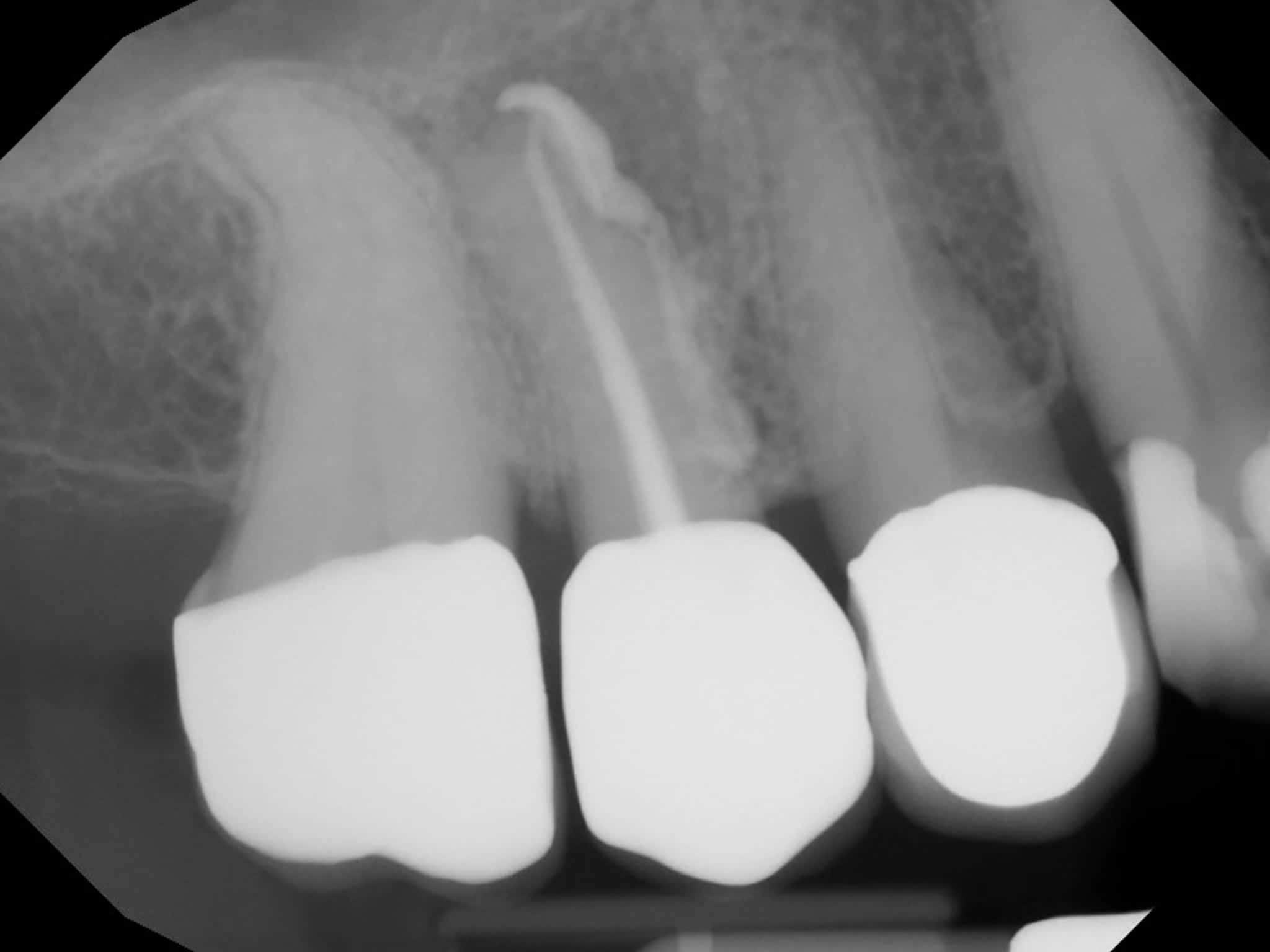 photo Dr. Elie M. Wolfson