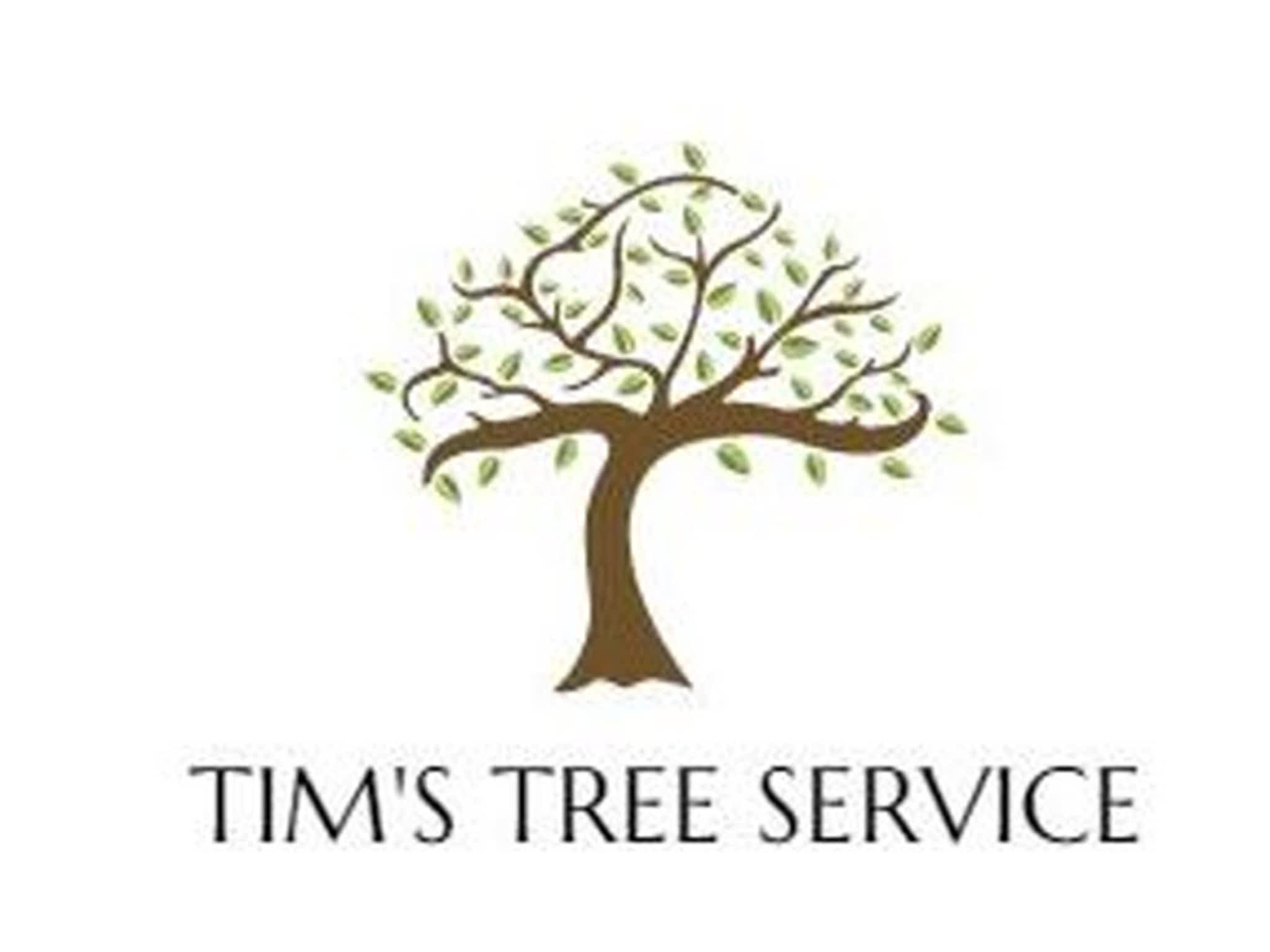 photo Tim's Tree Service