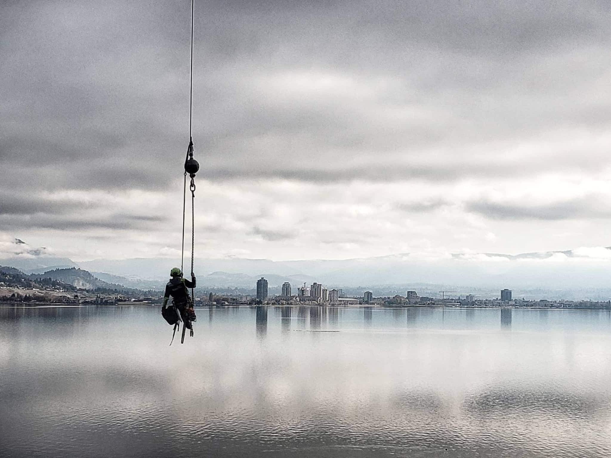 photo Action Tree Service