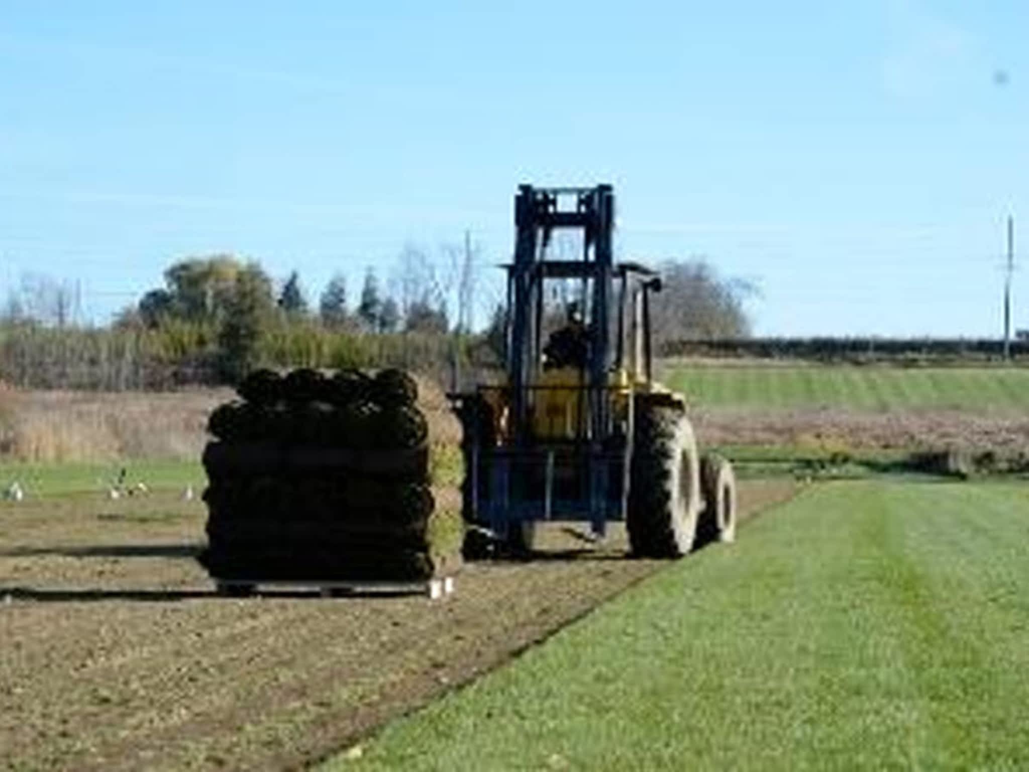 photo Queensville Sod Farms Limited