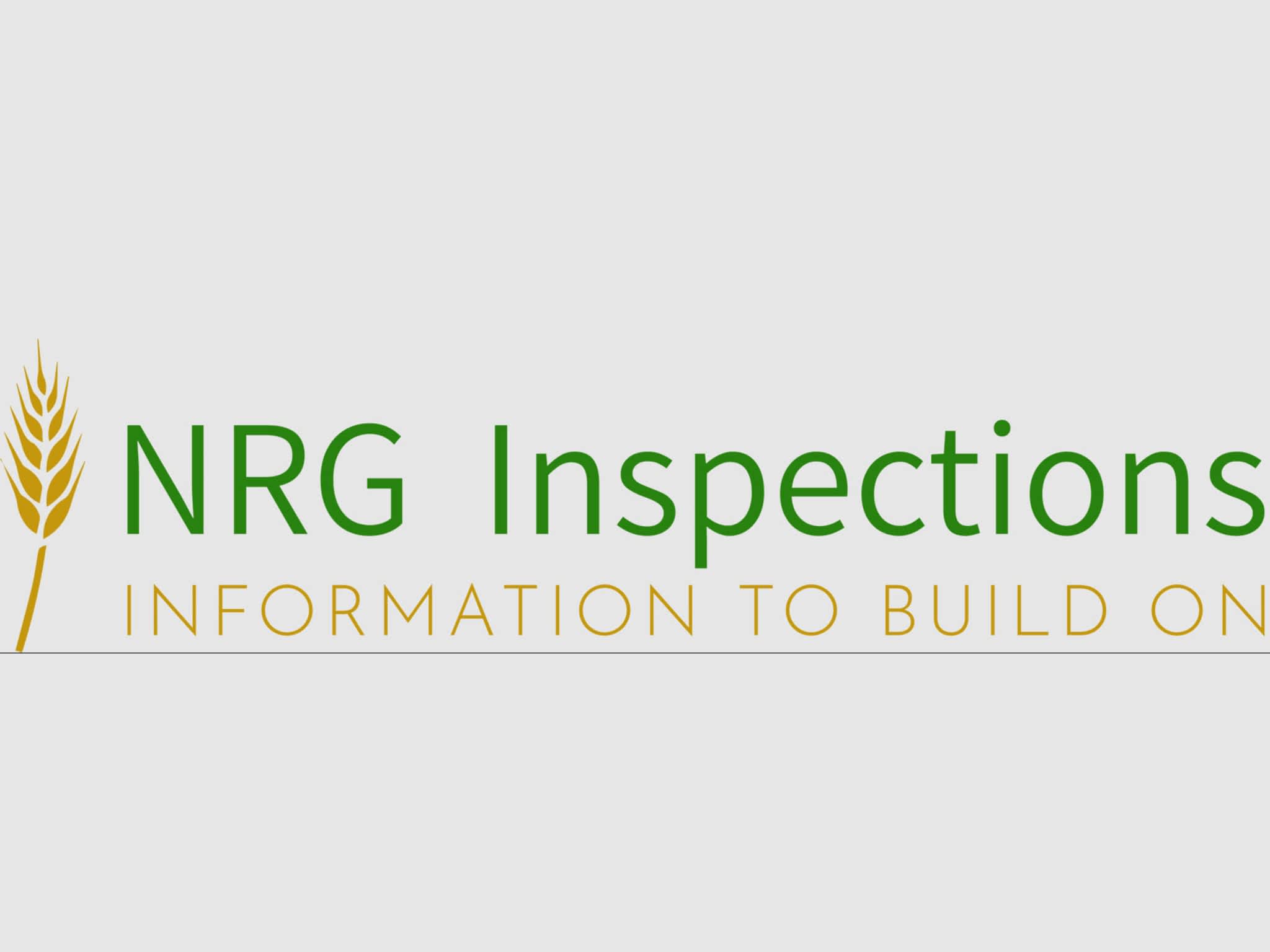 photo NRG Inspections and Consulting