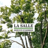 Voir le profil de La salle Service d'Arbres - Émondage - Baie-Saint-Paul