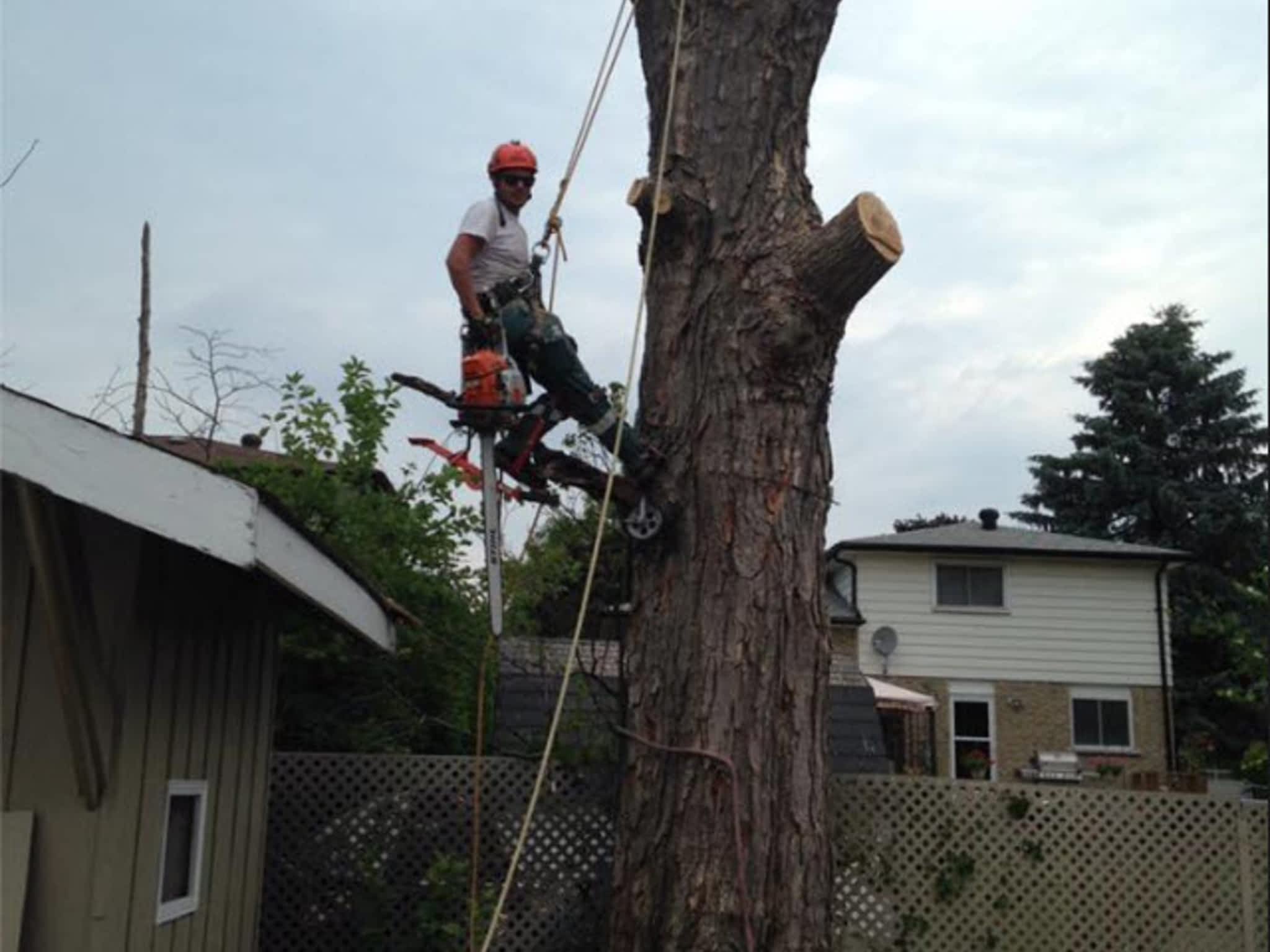 photo Prince Tree Service