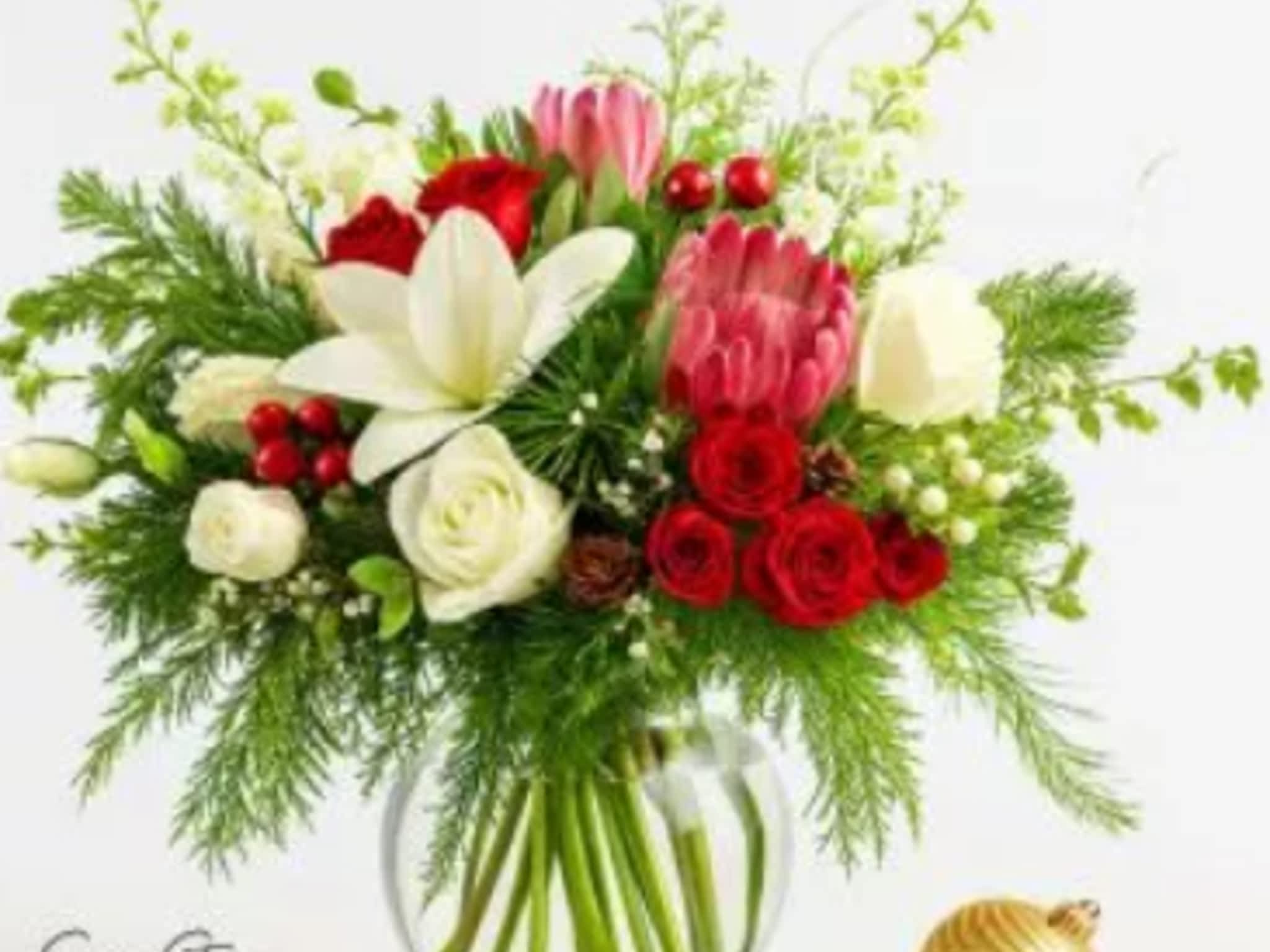 photo Snap And Stem Creative Studio