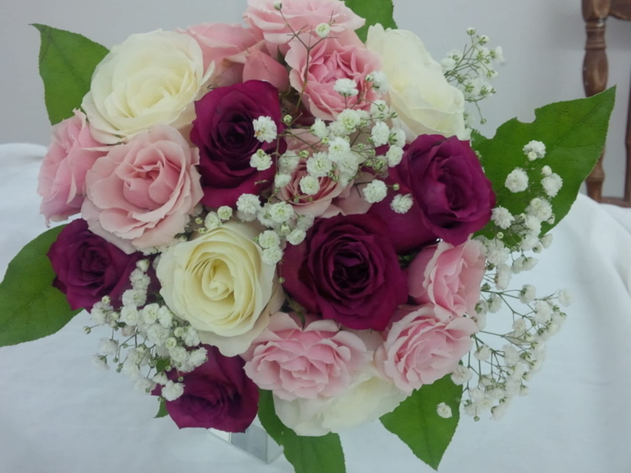 photo Sweetpea & Willow