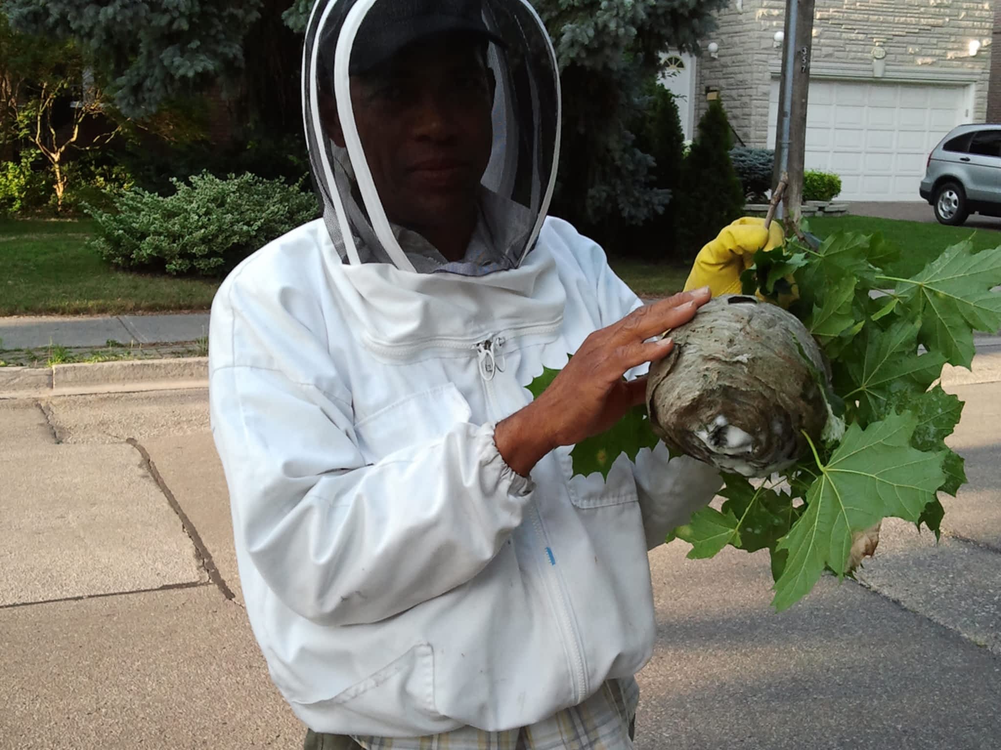 photo Affordable Pest Control & Bee Removal