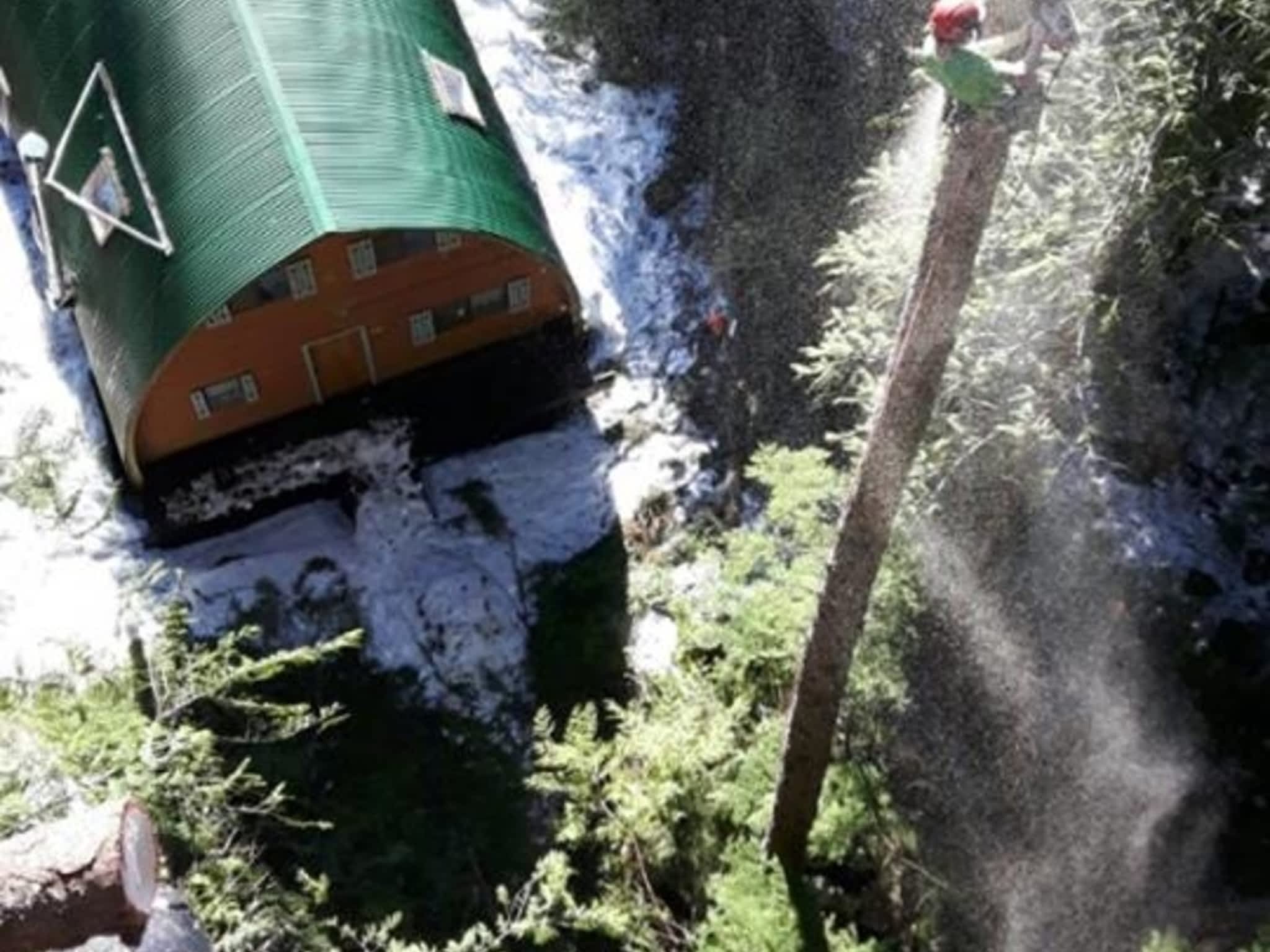 photo Windfirm Tree Services