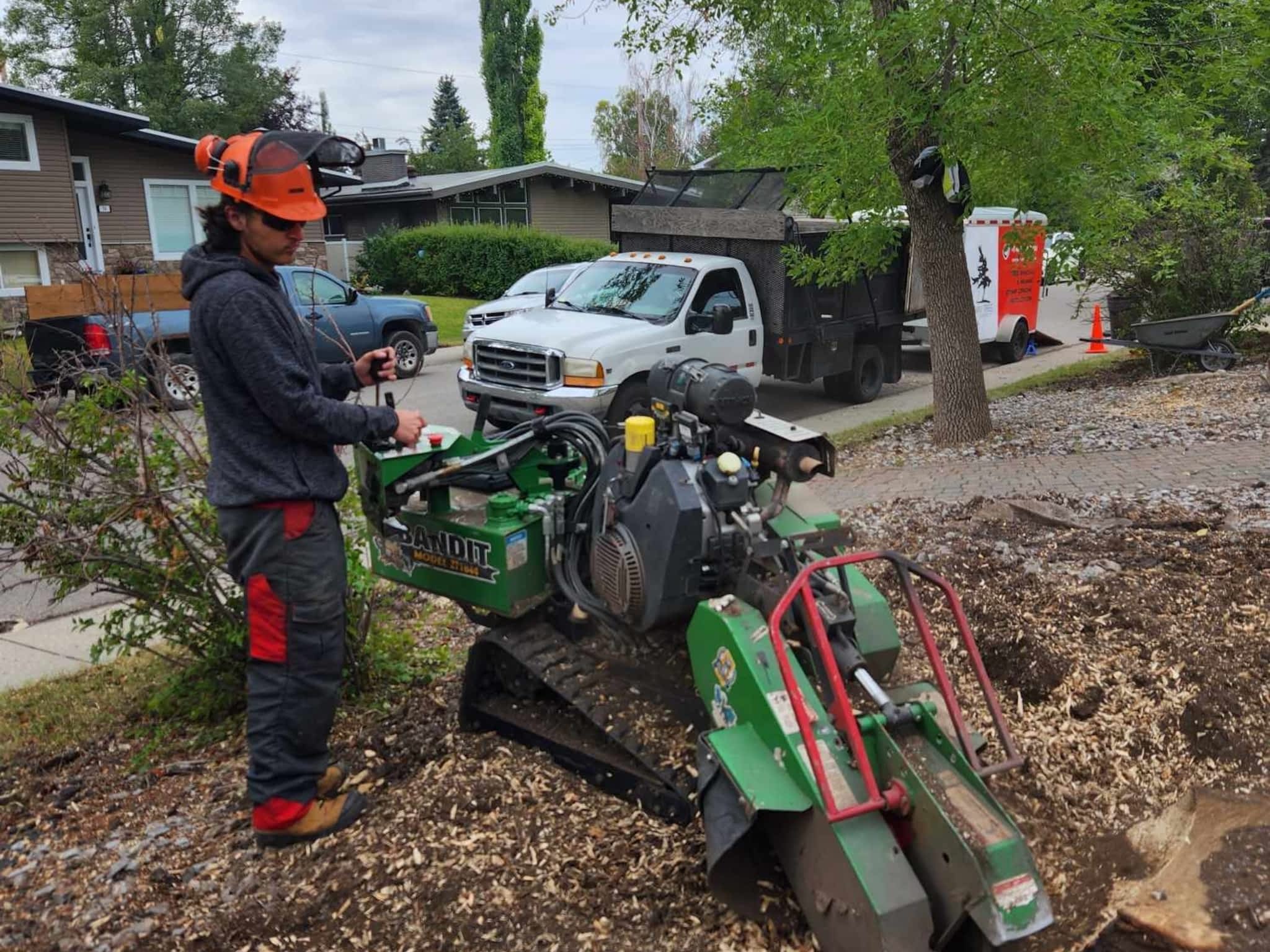 photo Stubborn Stump Grinding and Tree Care