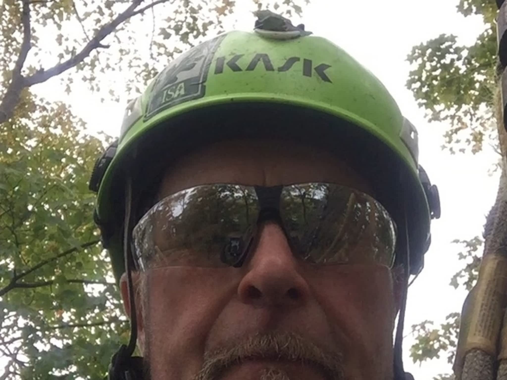 photo Zen Tree Care Consulting Inc
