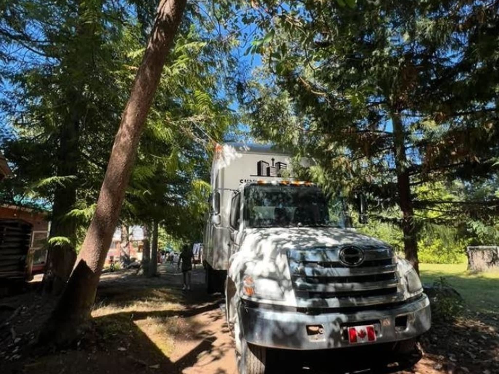 photo Skyline Moving Services