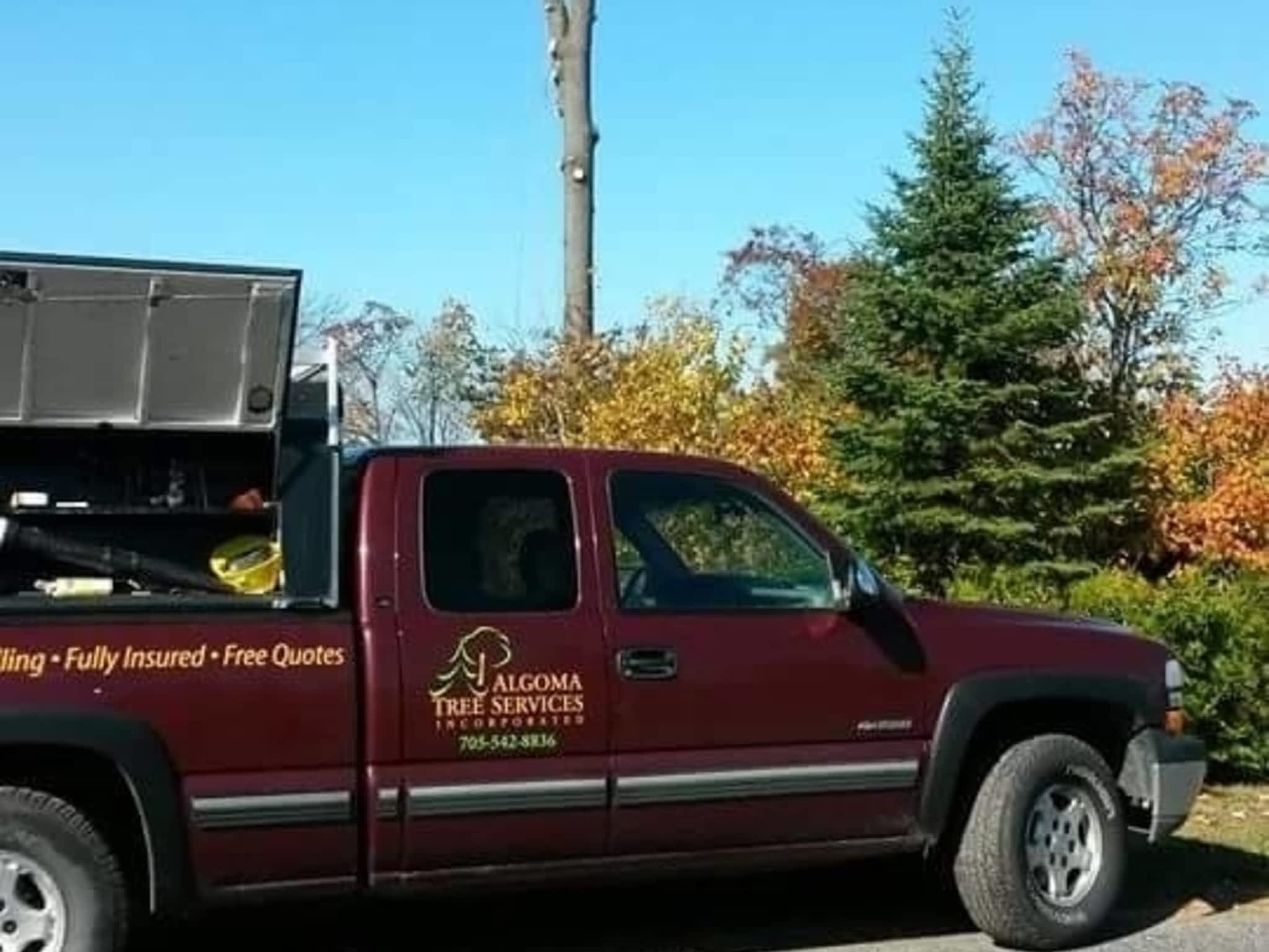 photo Algoma Tree Services