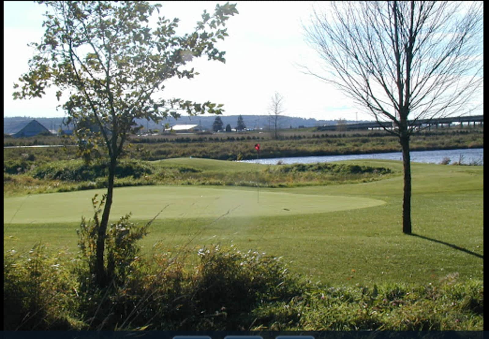 birdies and buckets driving range