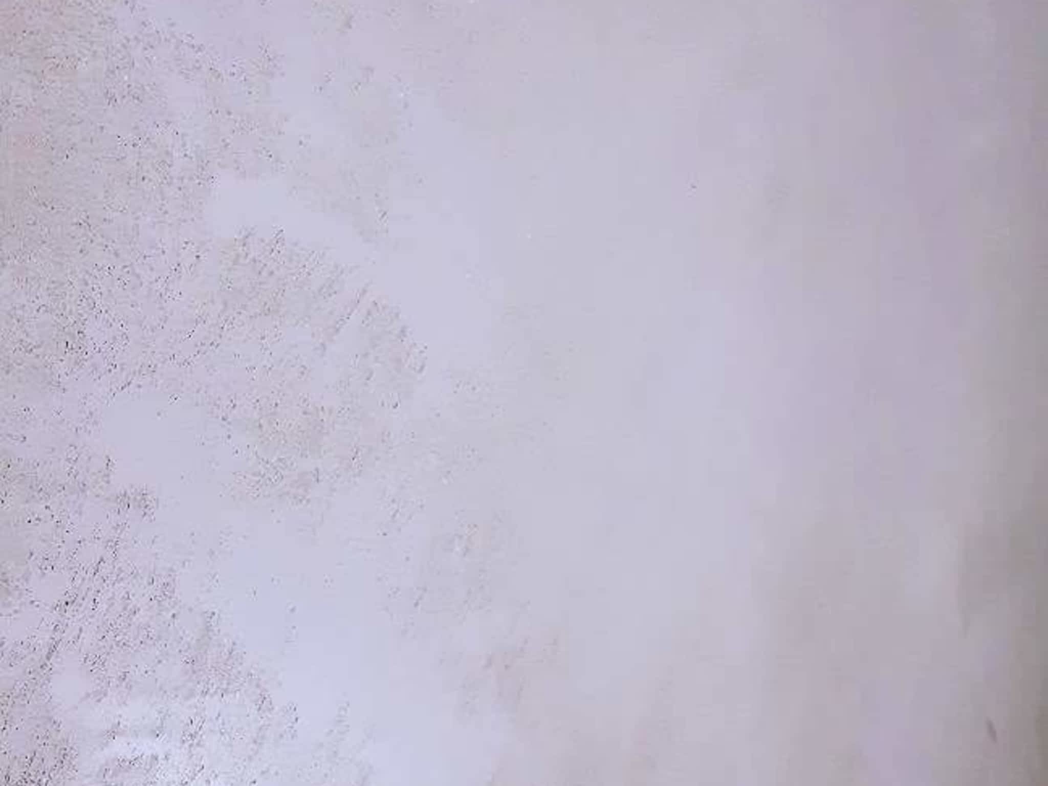 photo Taylor Plastering