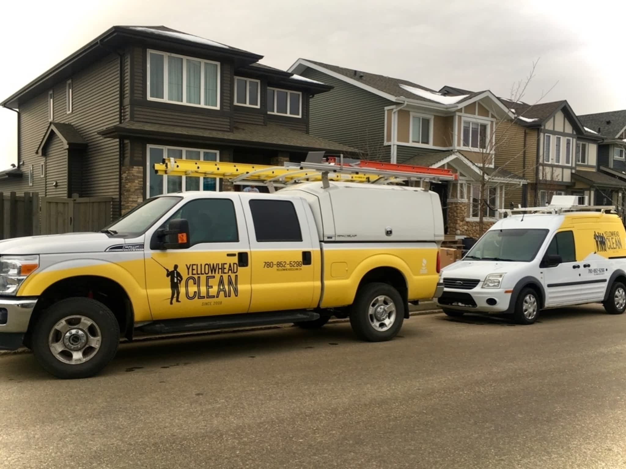 photo Yellowhead Clean