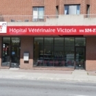 Hôpital Vétérinaire Victoria - Vétérinaires