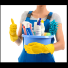 View Tetiana's Cleaning Services’s Mission profile