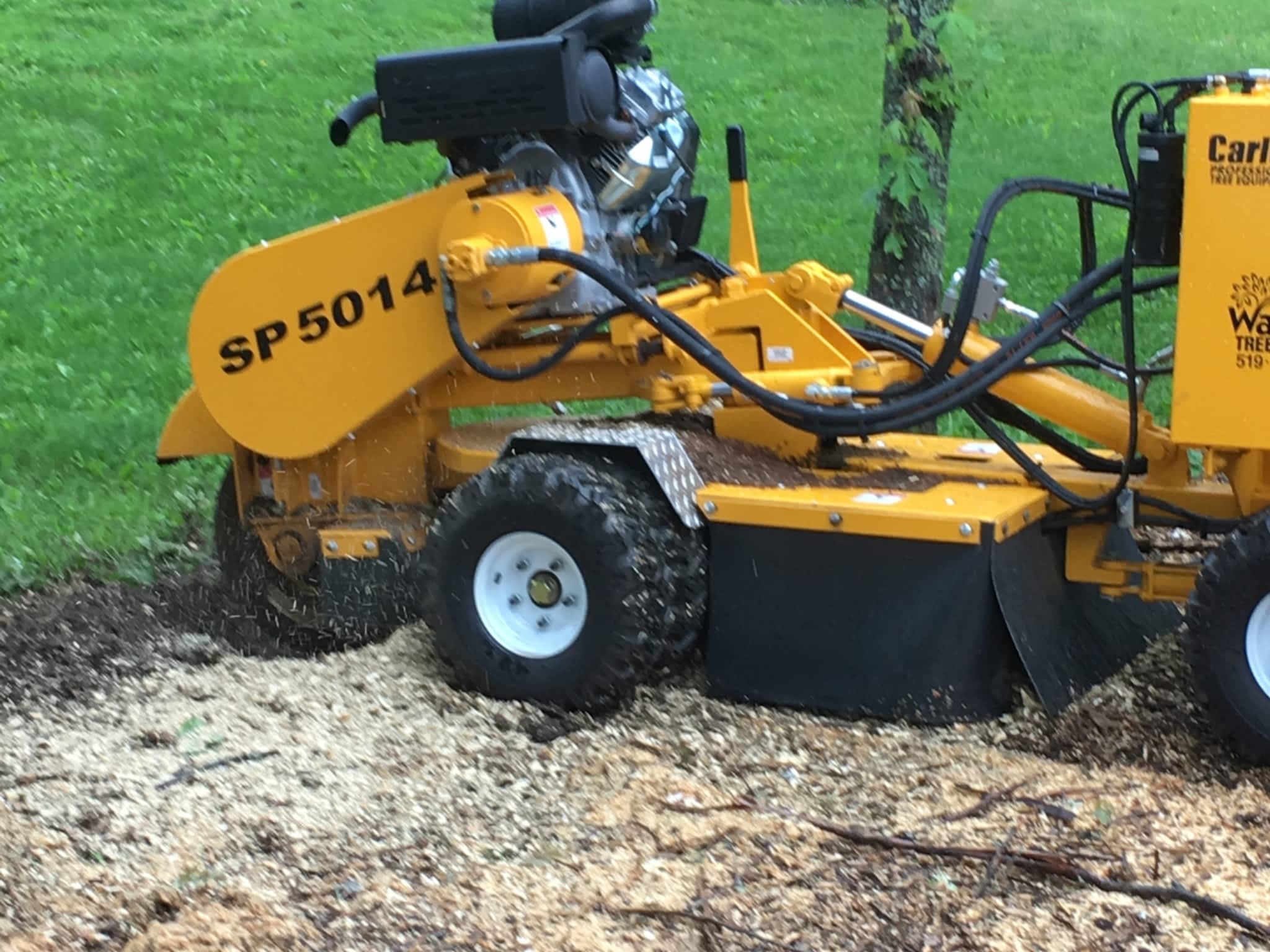 photo Wallace Tree Service