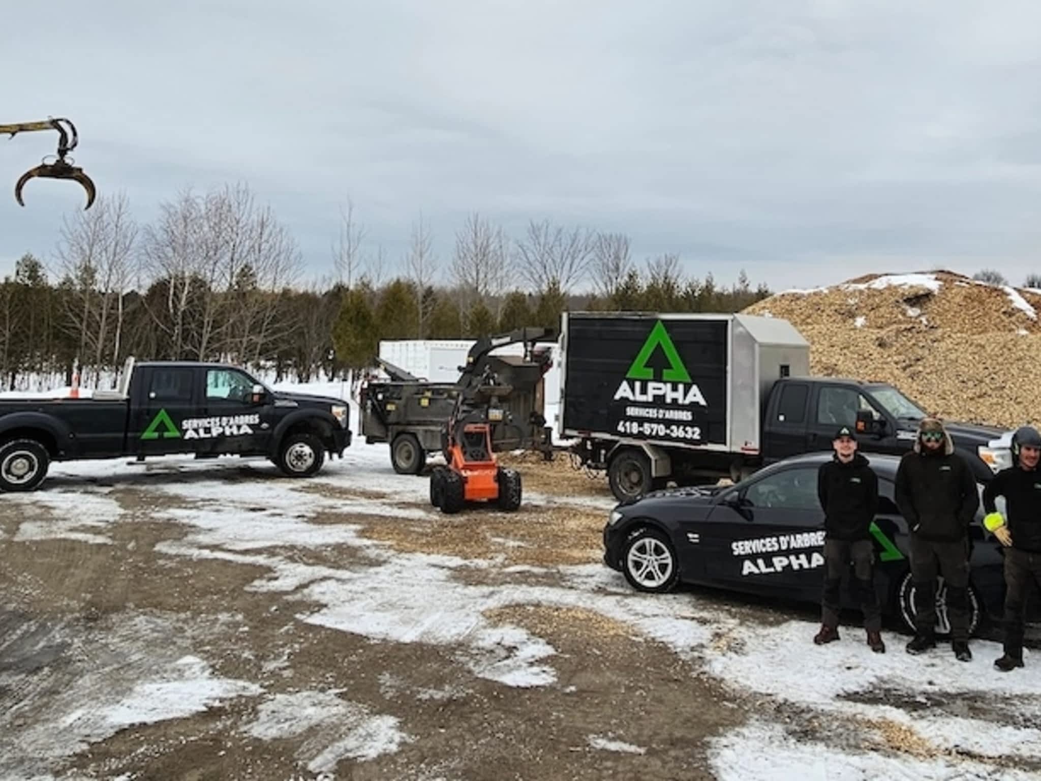 photo Service d'Arbres Alpha - Élagage Québec