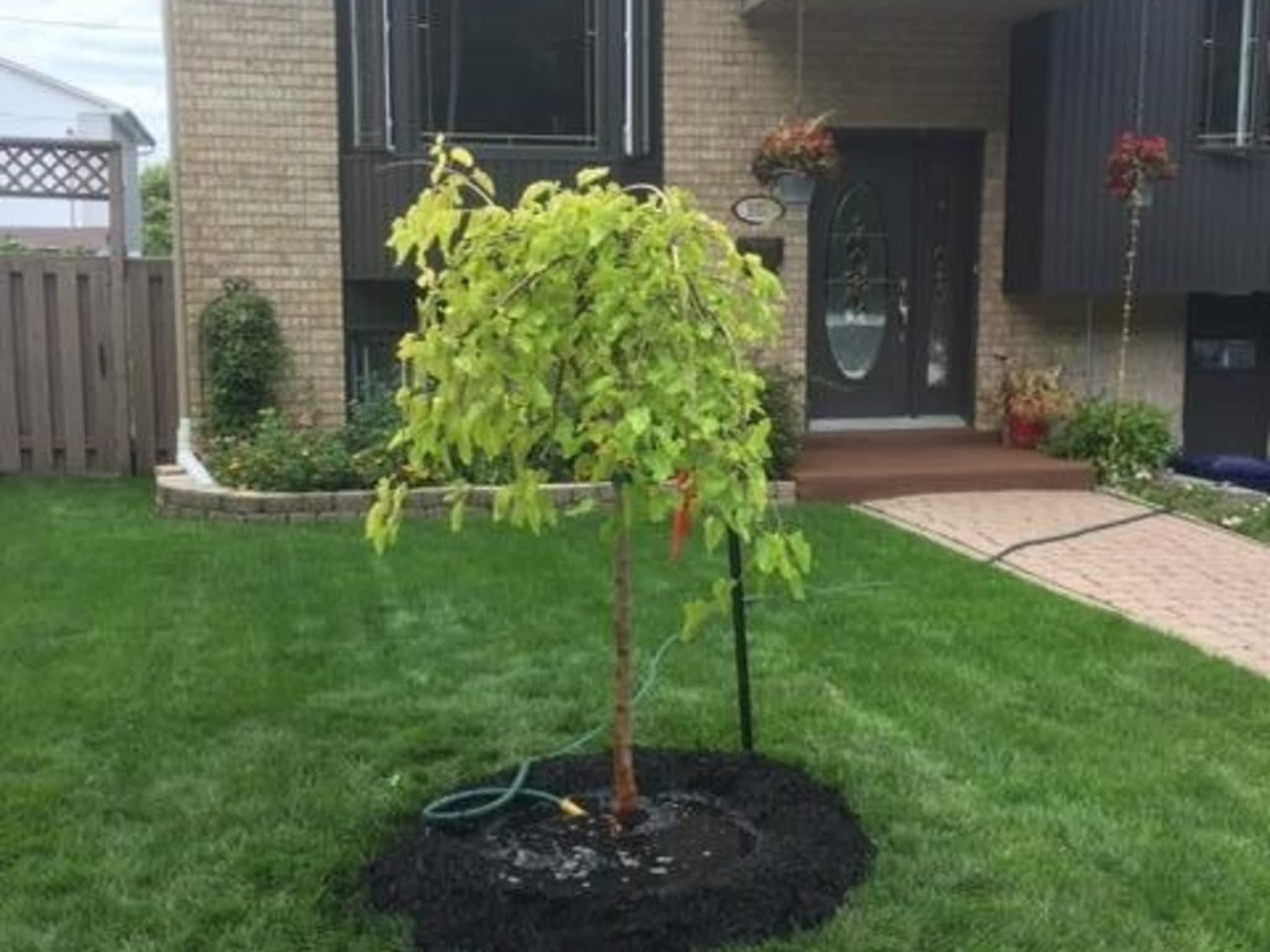 photo Arboriculture Arbo-Scape