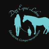 Voir le profil de Dog Equi-libre - Saint-Ambroise-de-Kildare