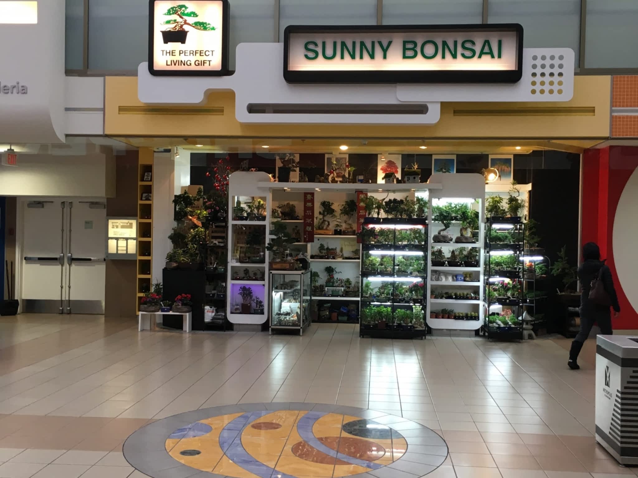 photo Sunny Bonsai