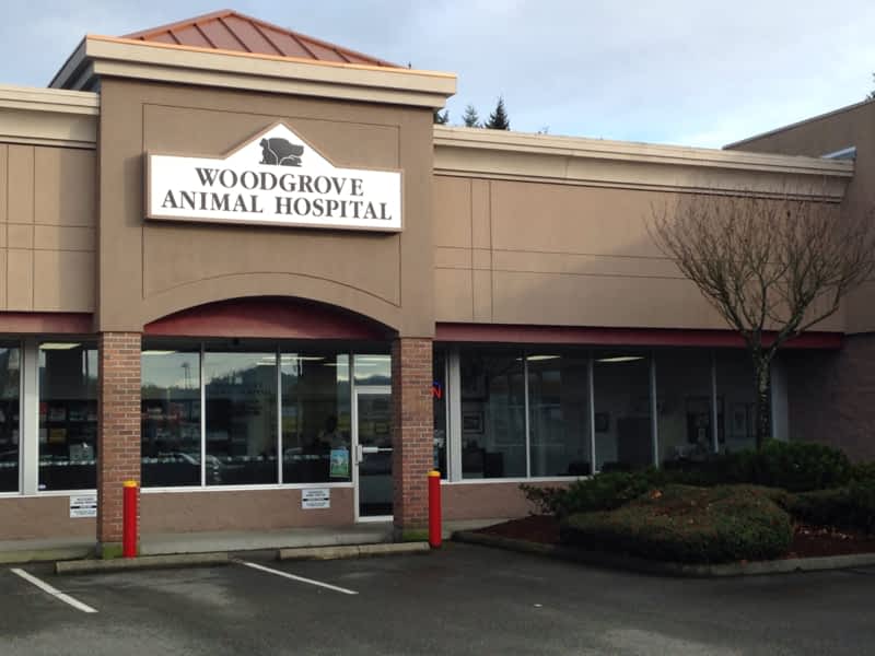 Woodgrove best sale veterinary services